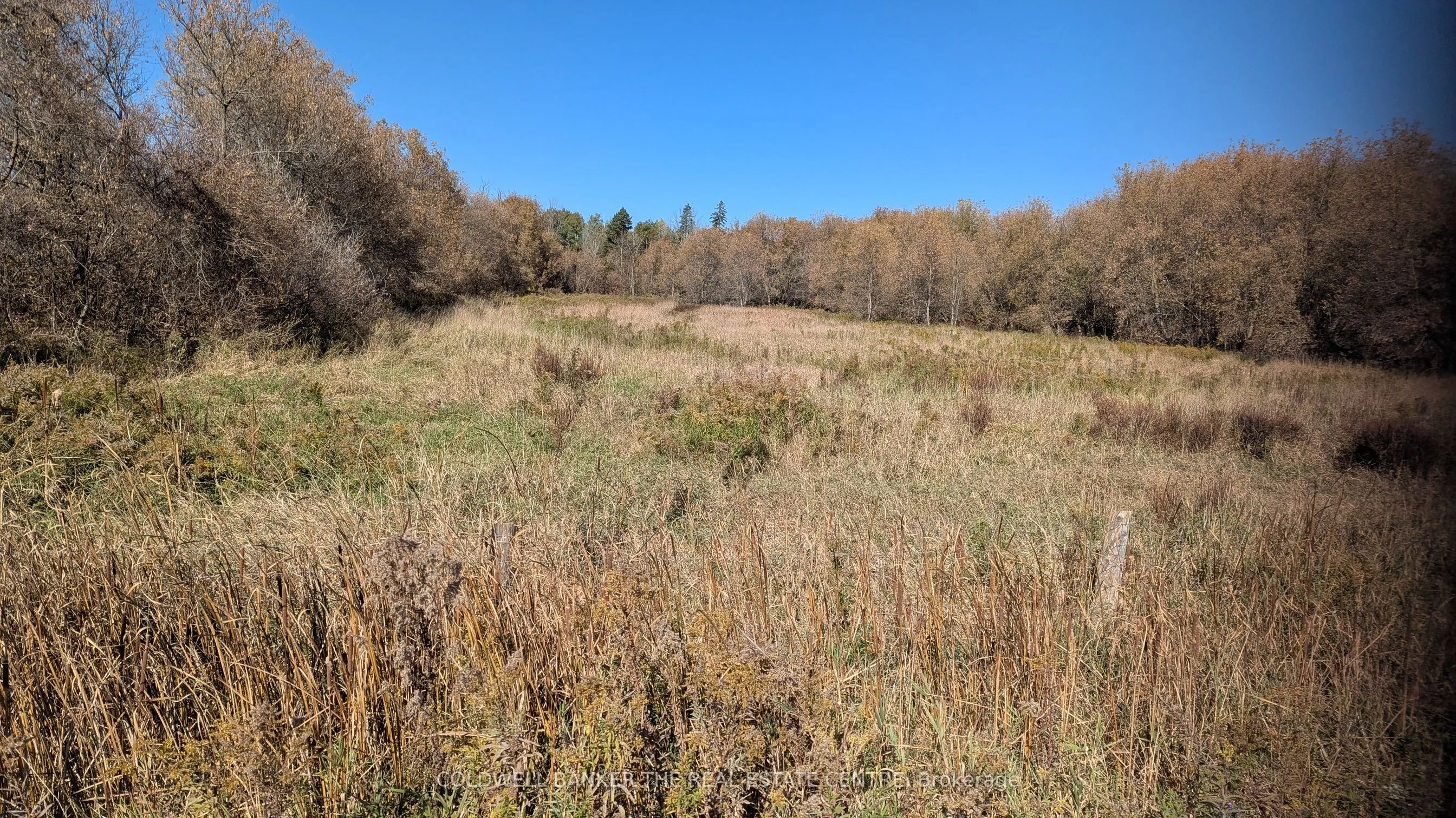 2884 County Rd 89
