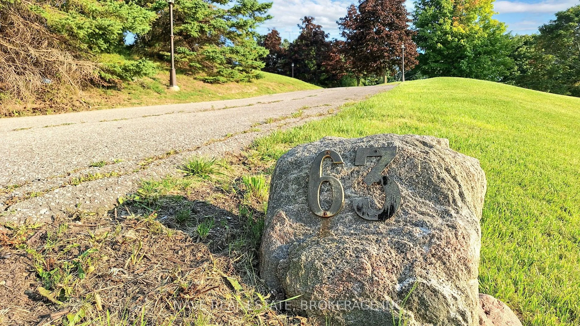 63 Elderberry Trail