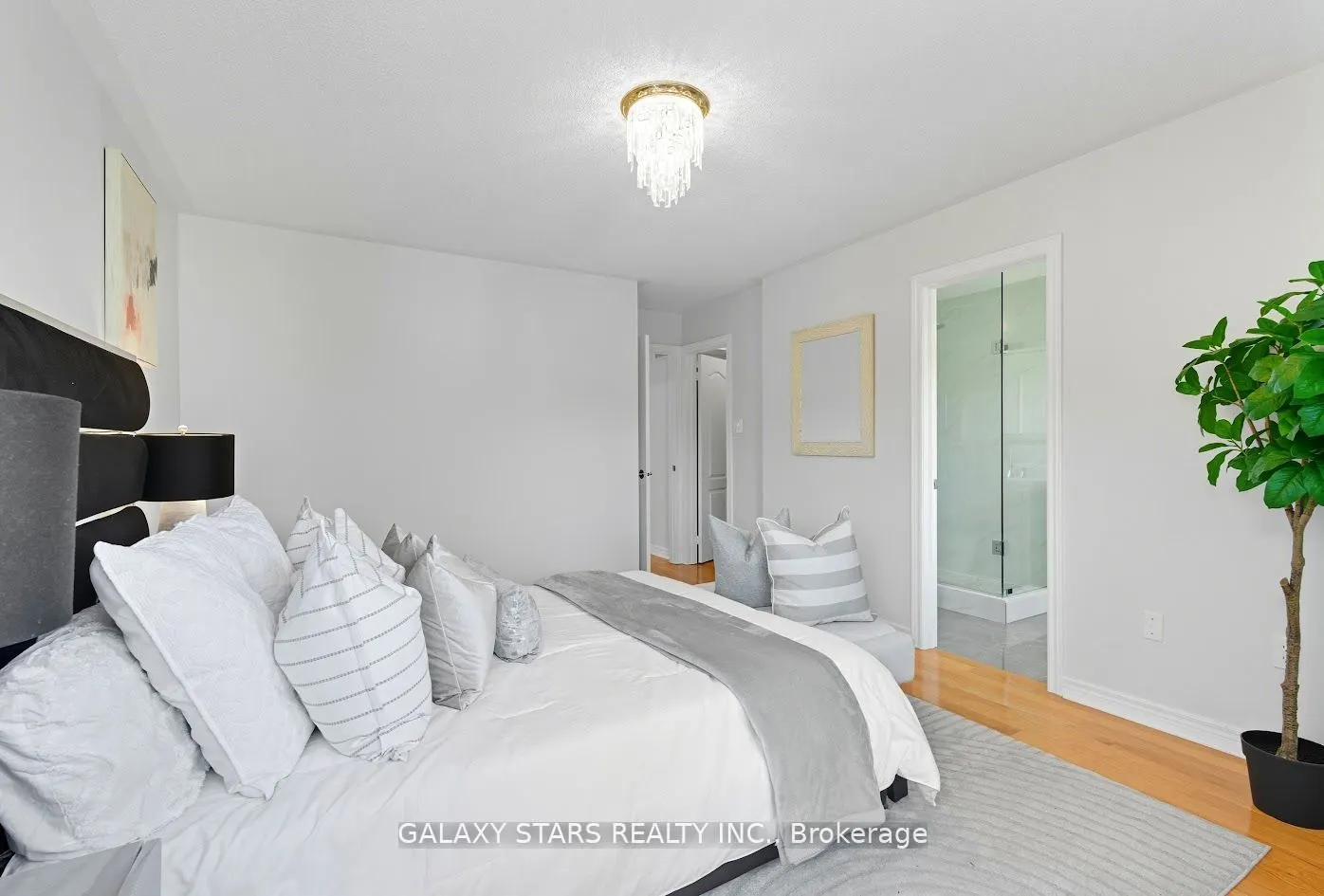 12 Primont Drive