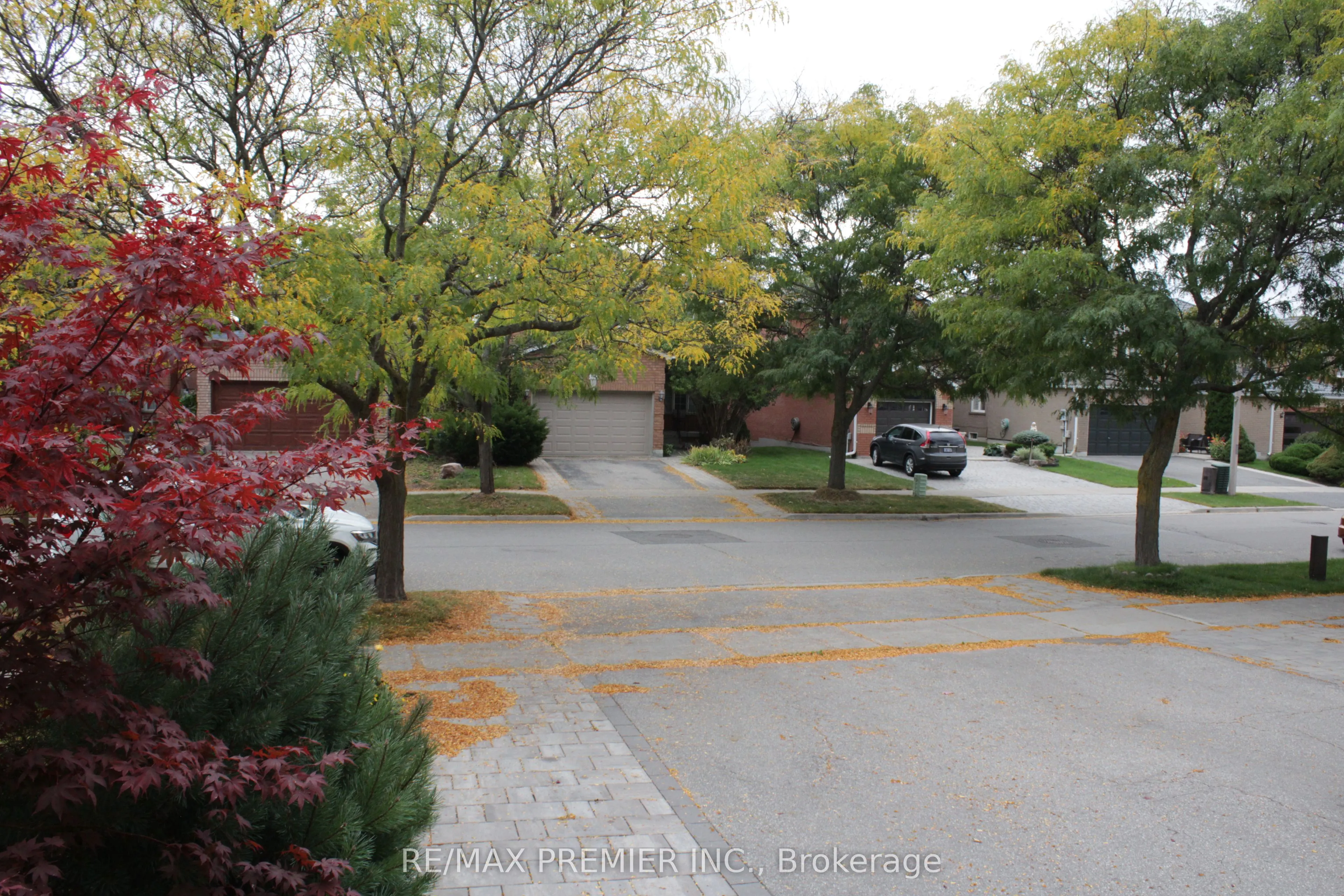 262 Isacc Murray Avenue, #Main Fl