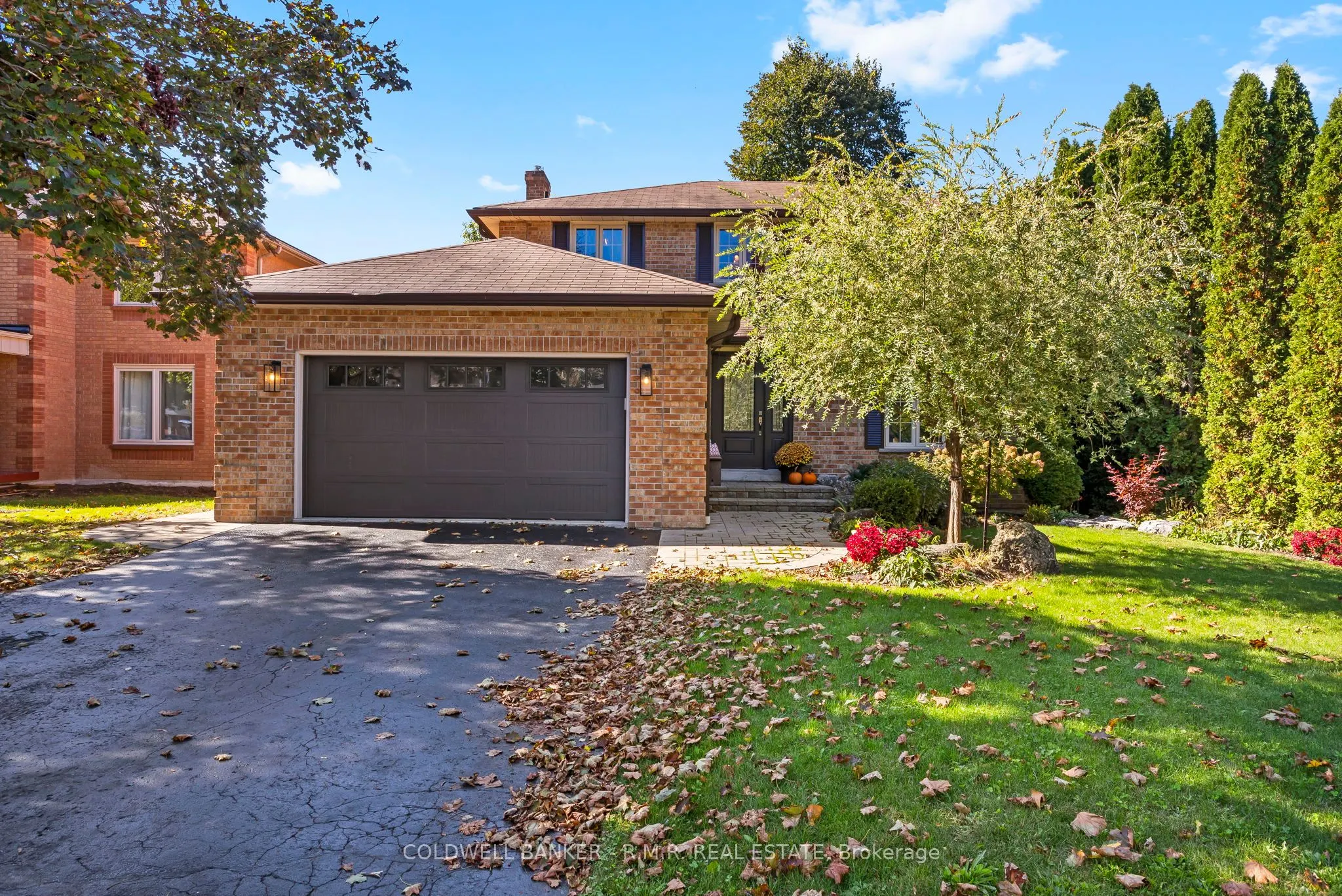 24 Testa Road