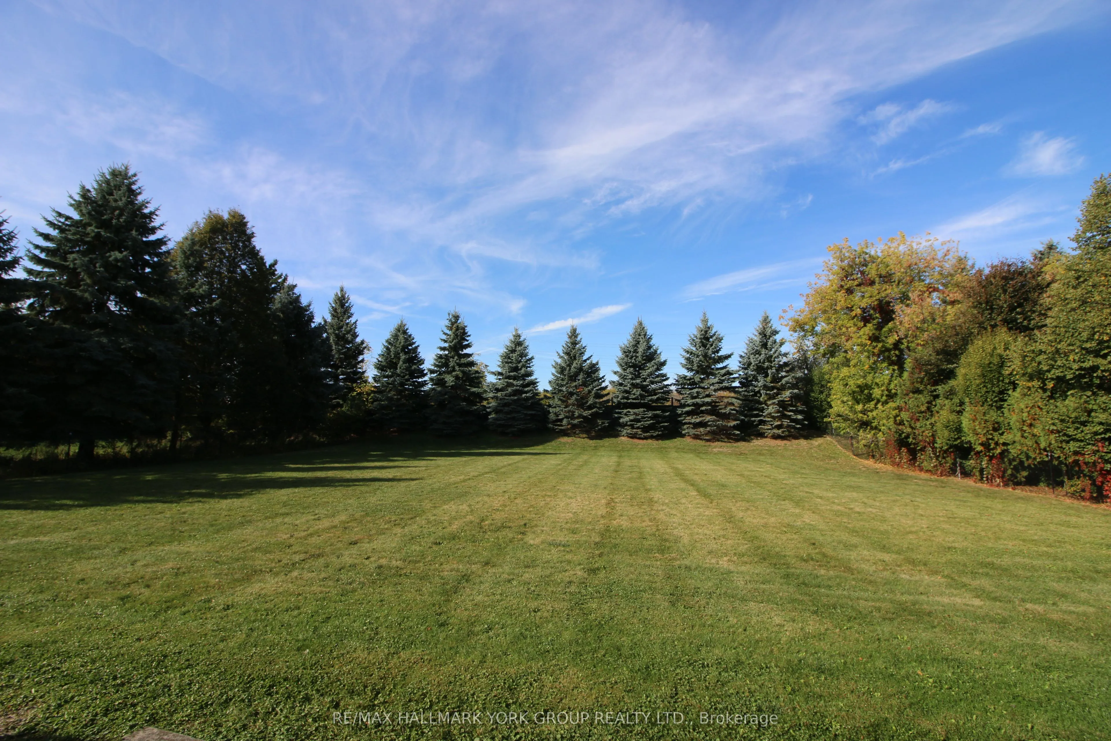 175 Treegrove Circle