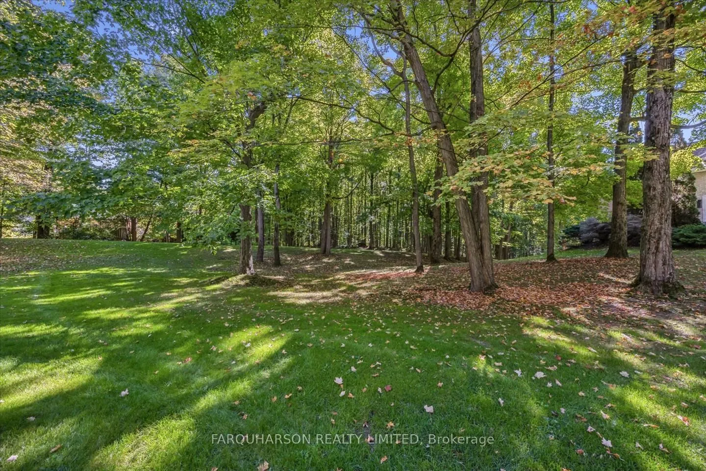 15 Skyridge Court