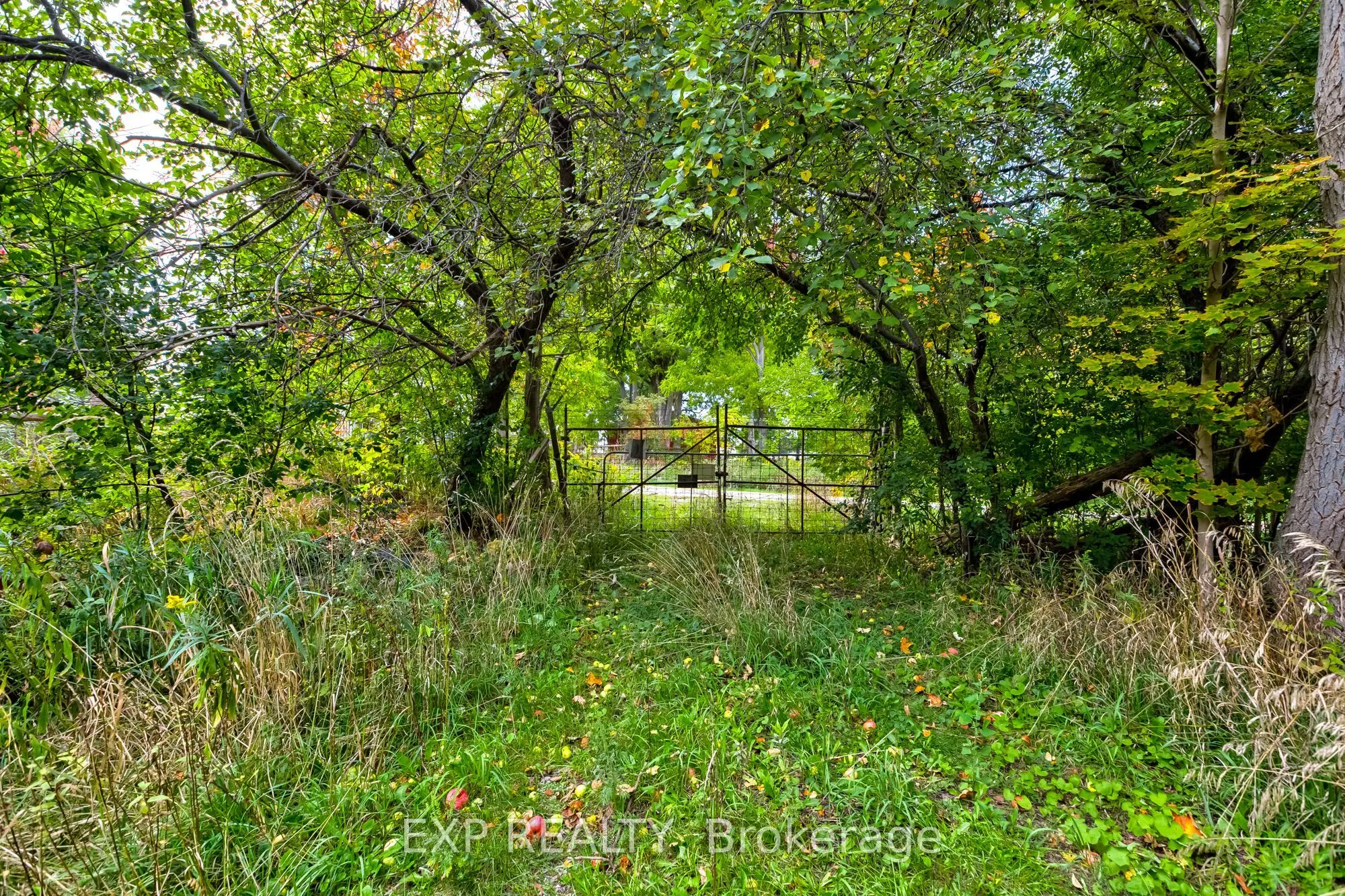 3791 Vivian Road