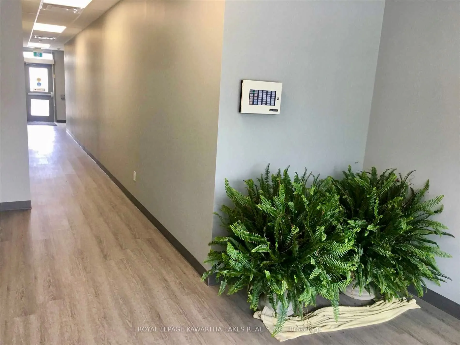 448 Osborne Street, #Unit