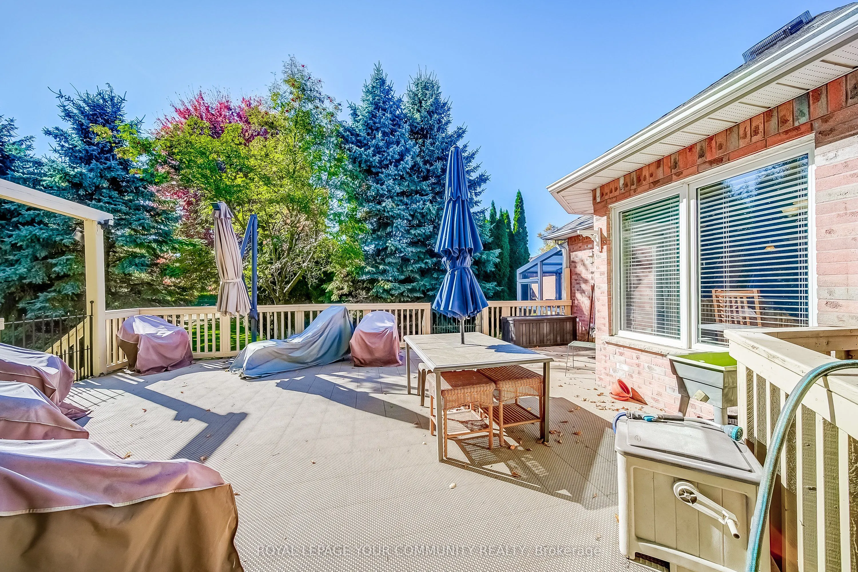 53 David Willson Trail