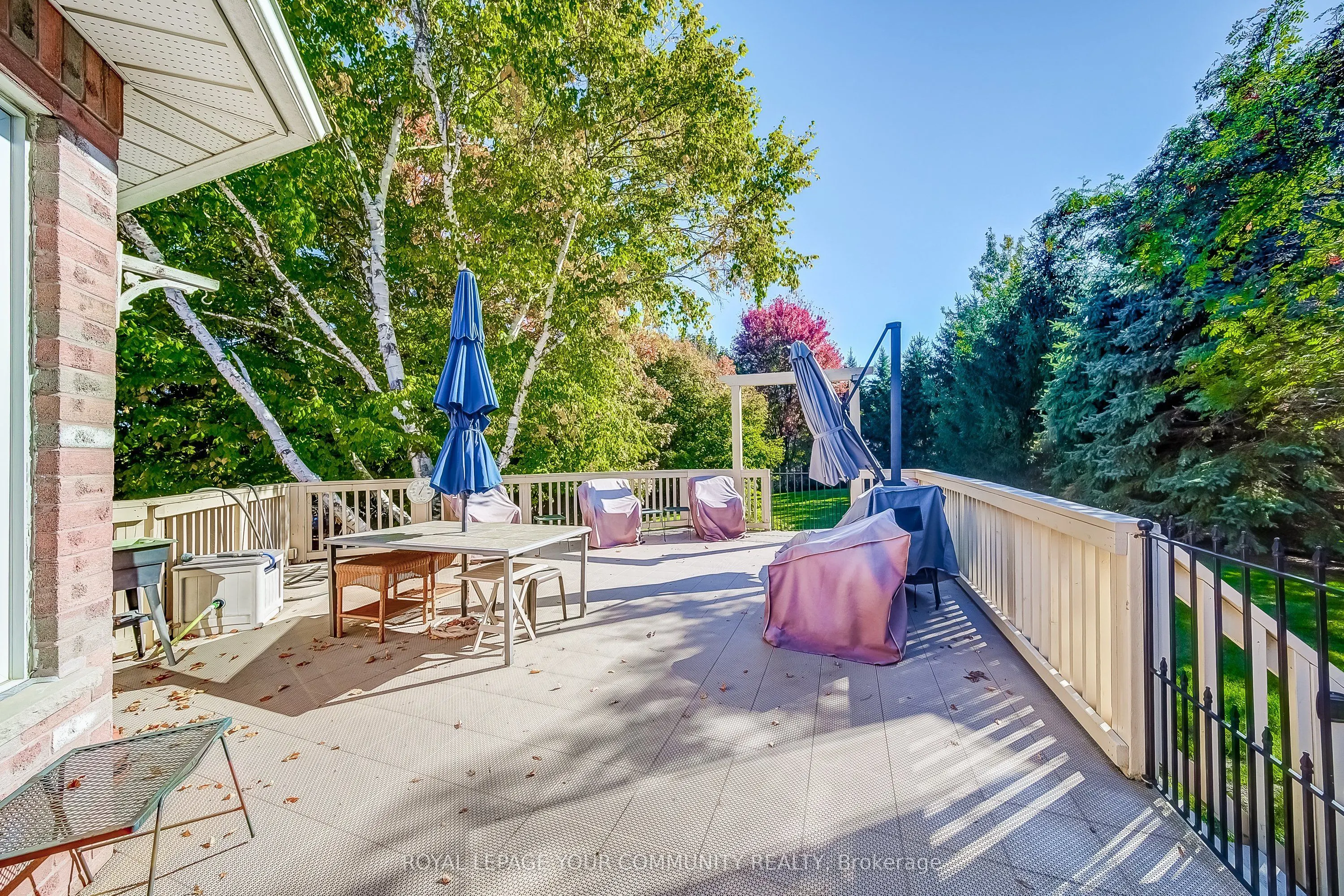 53 David Willson Trail