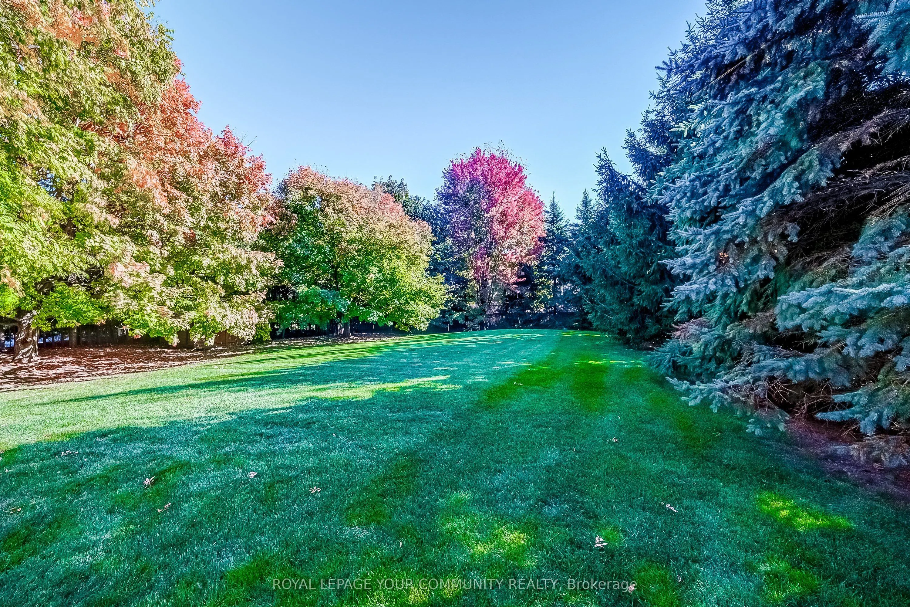 53 David Willson Trail