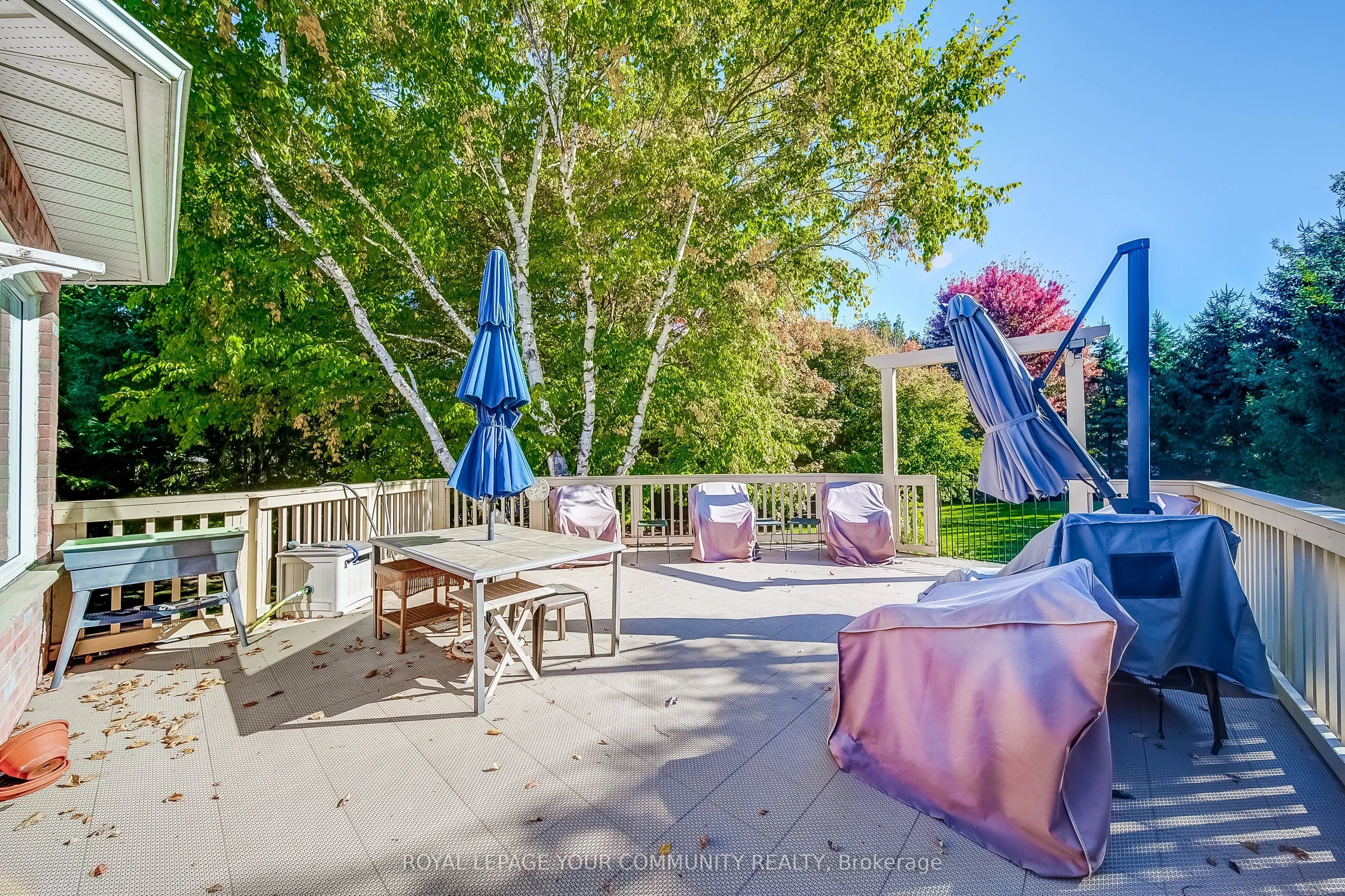 53 David Willson Trail