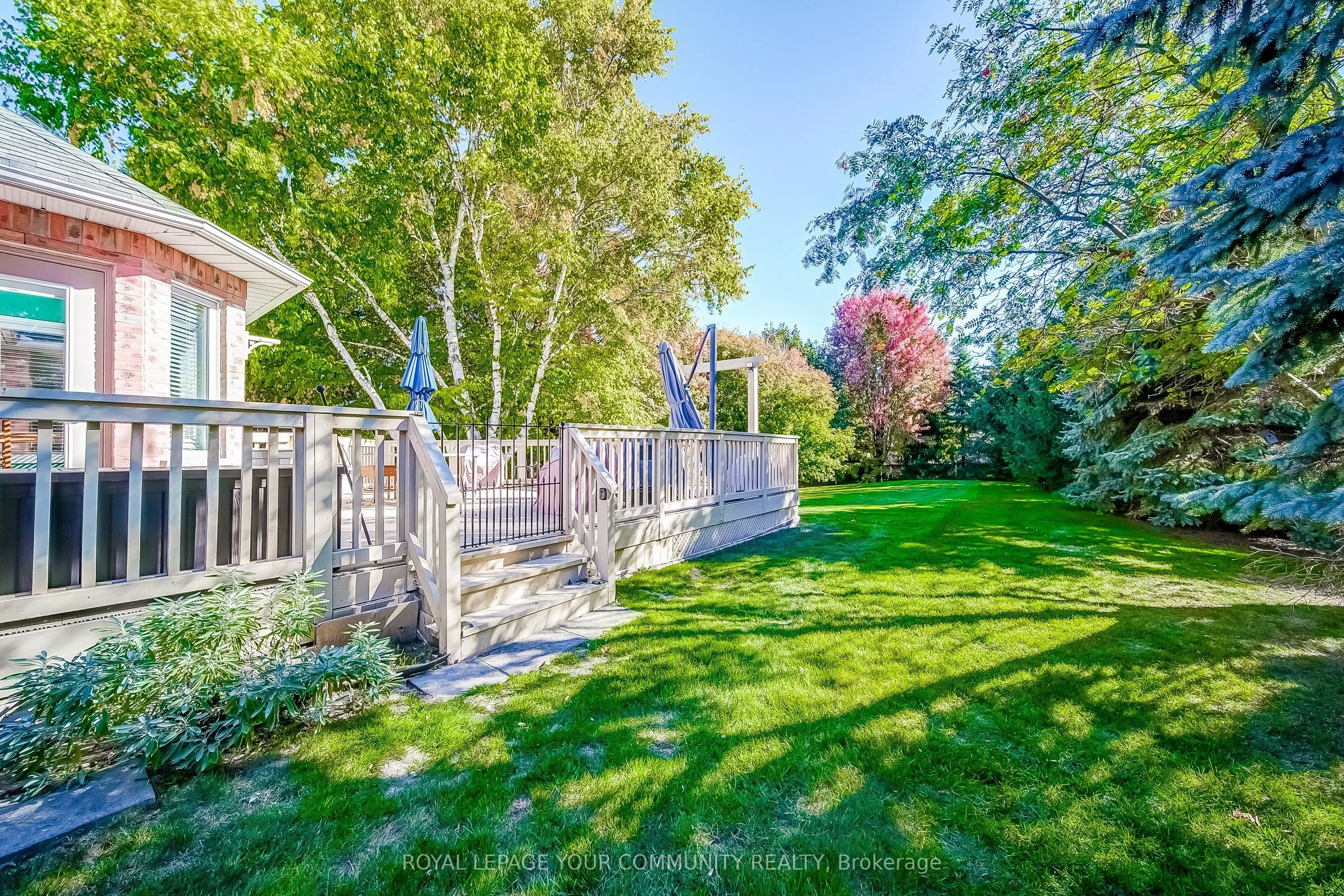 53 David Willson Trail