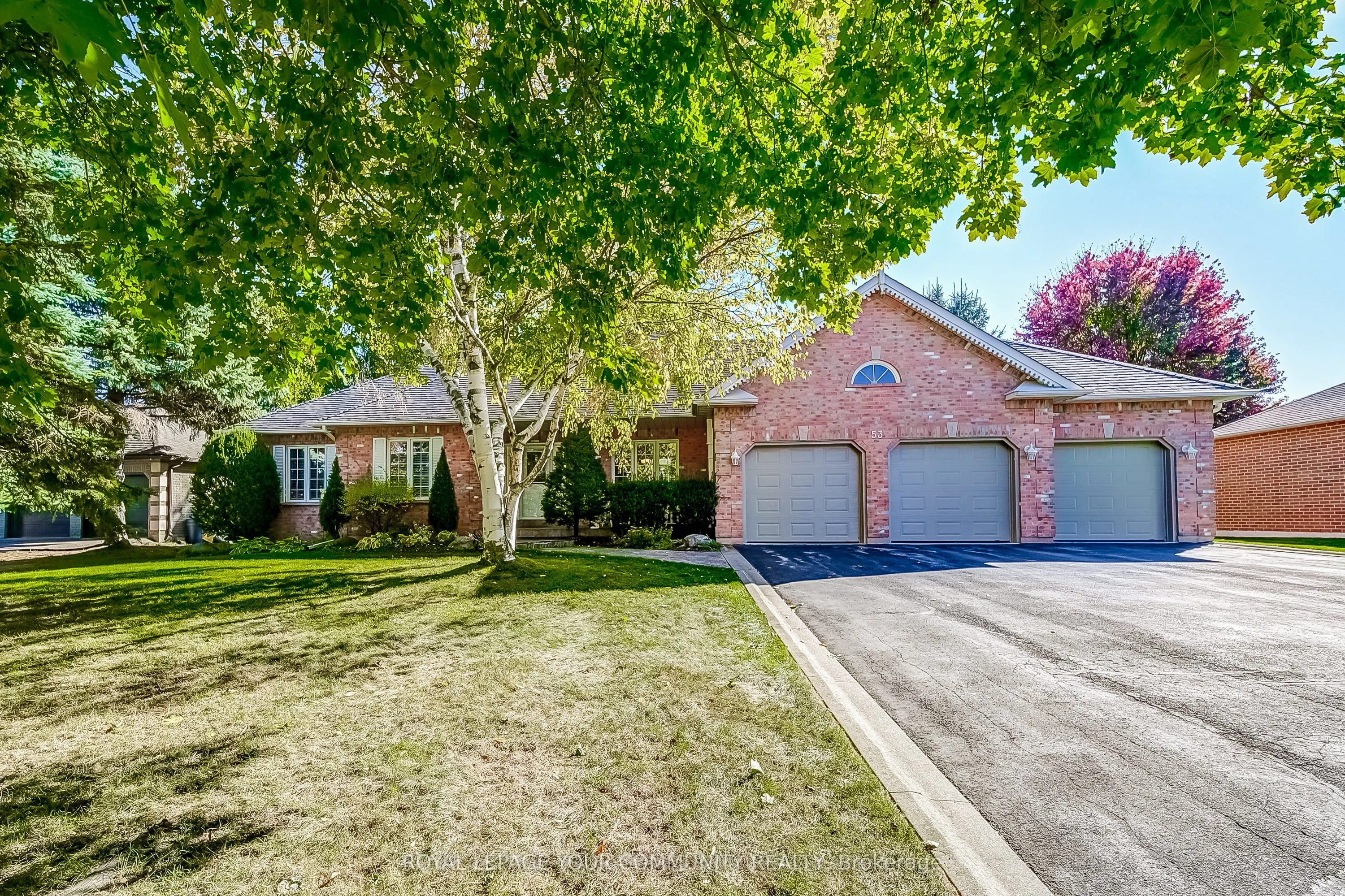 53 David Willson Trail