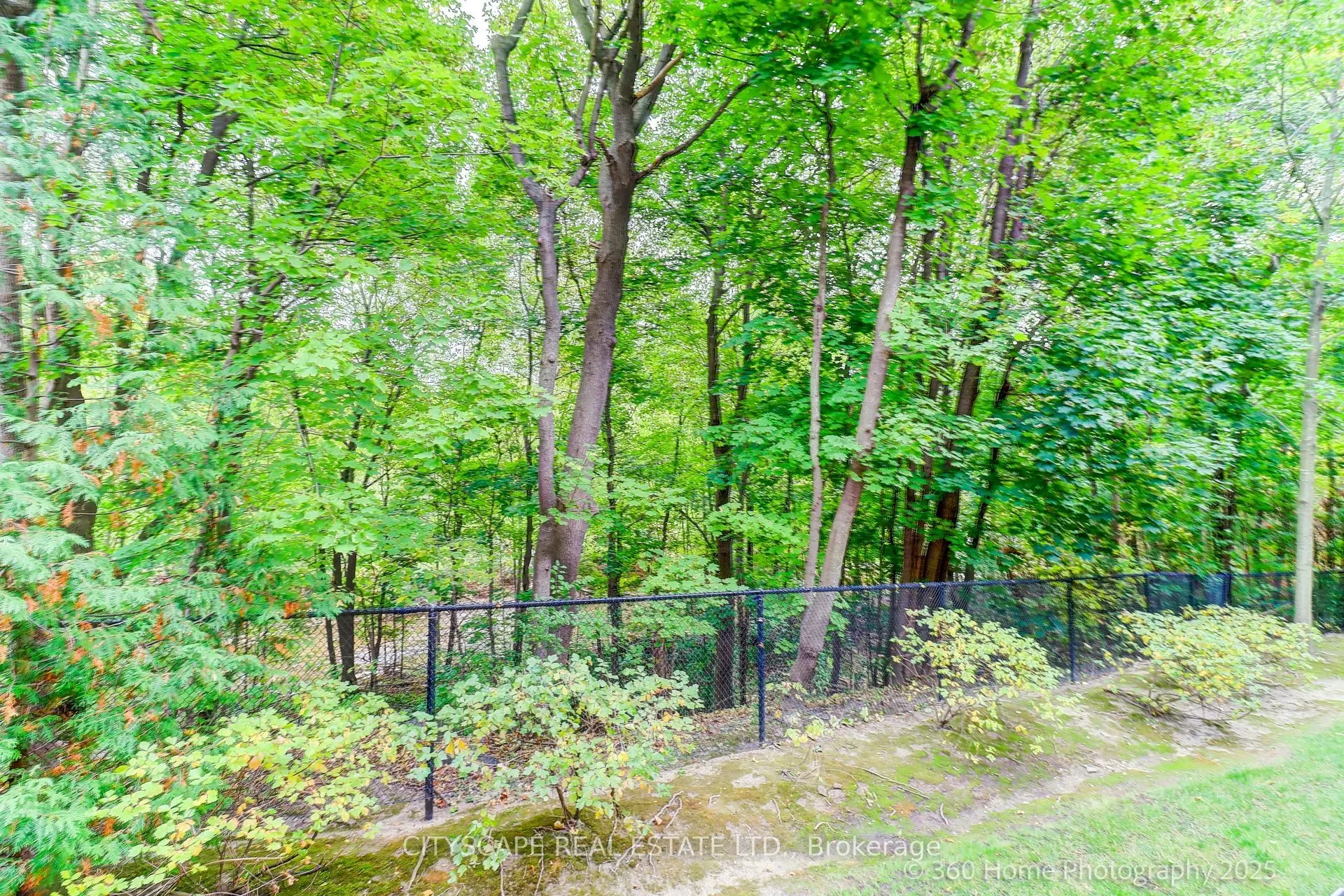 245 Pinegrove Road, #101