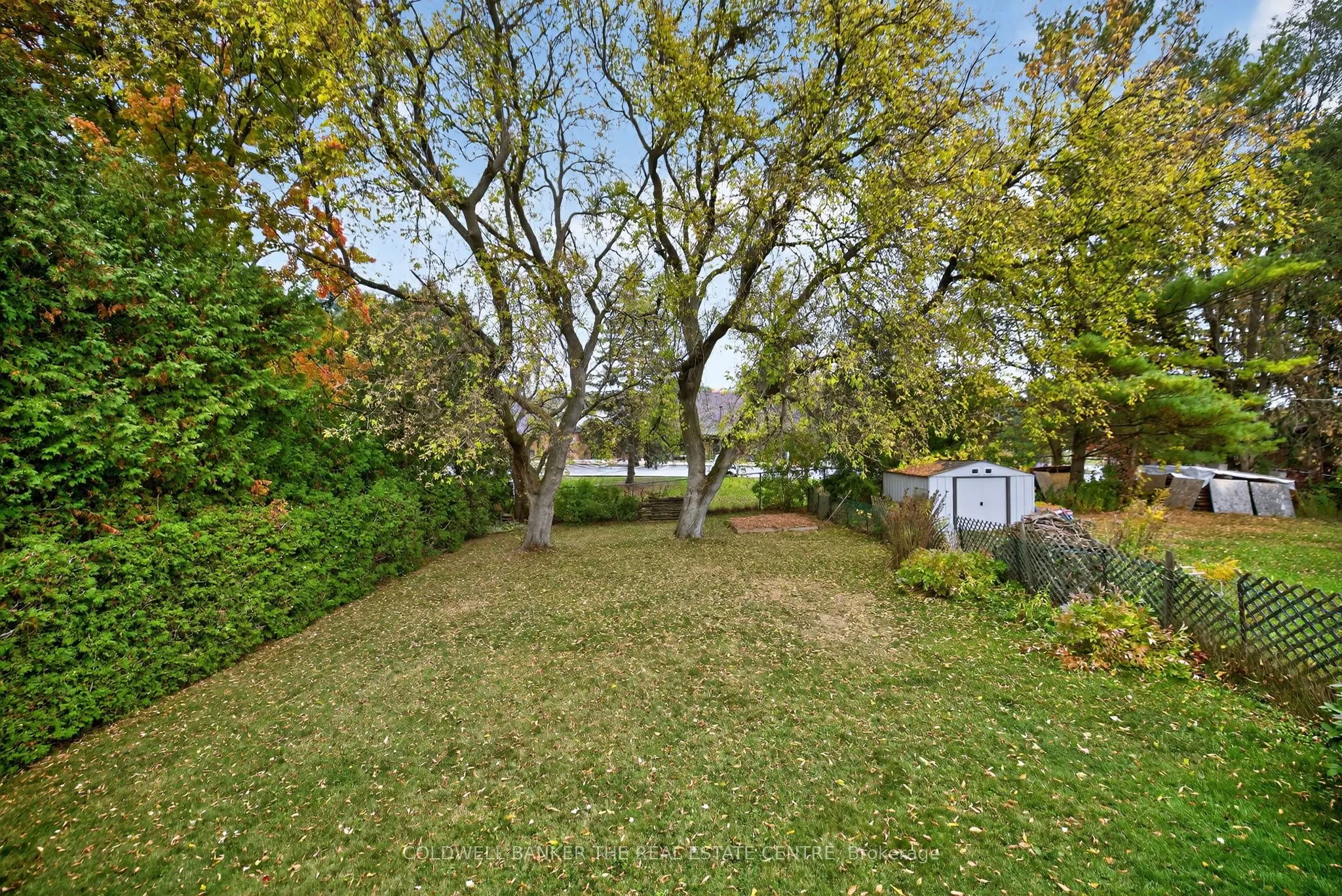275 Maple Street