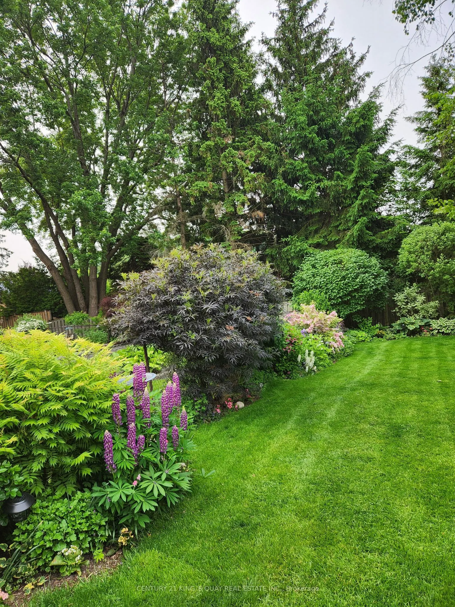 47 Radford Crescent