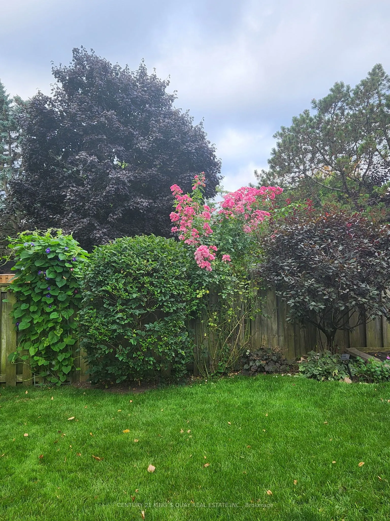 47 Radford Crescent