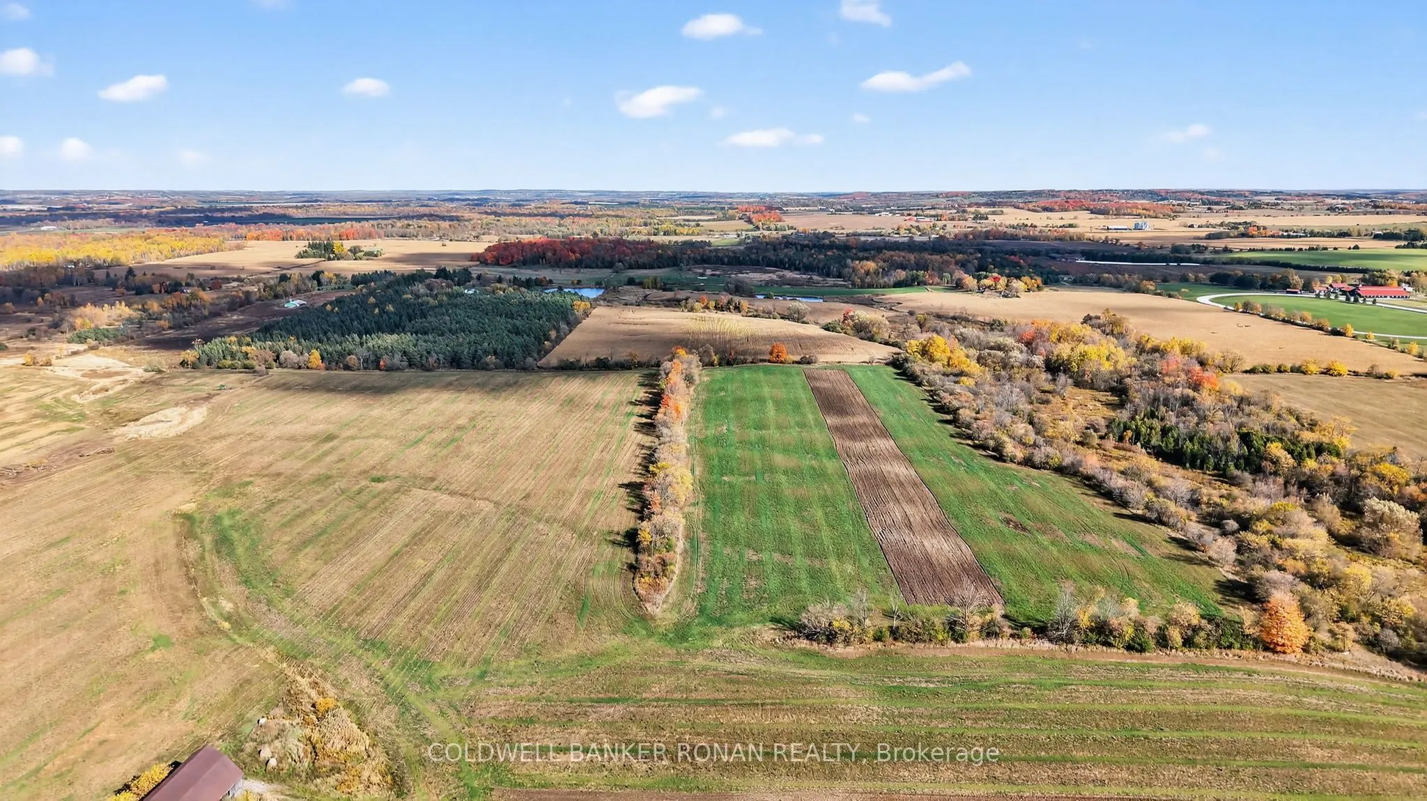3142 County Rd 50
