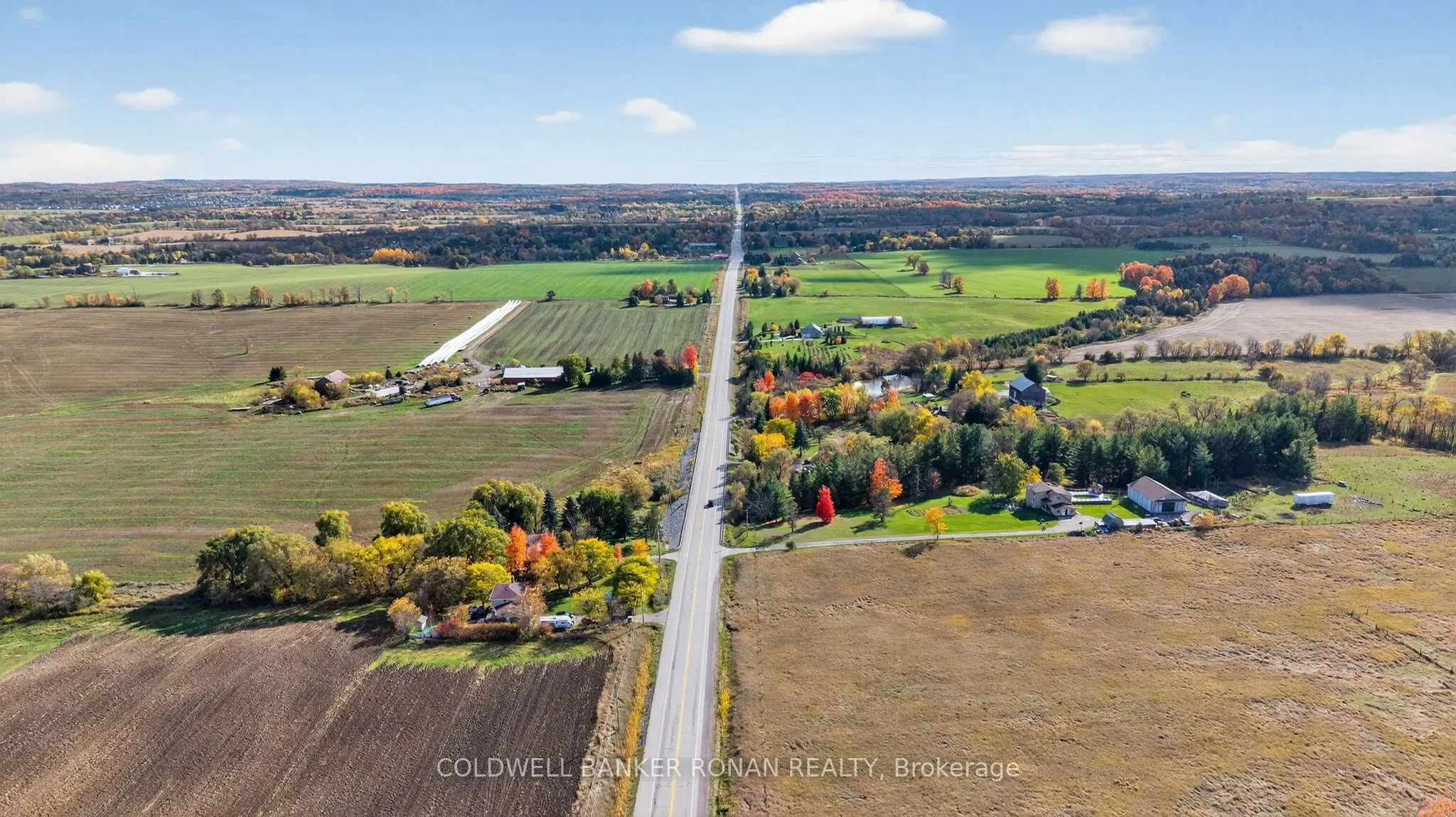 3142 County Rd 50