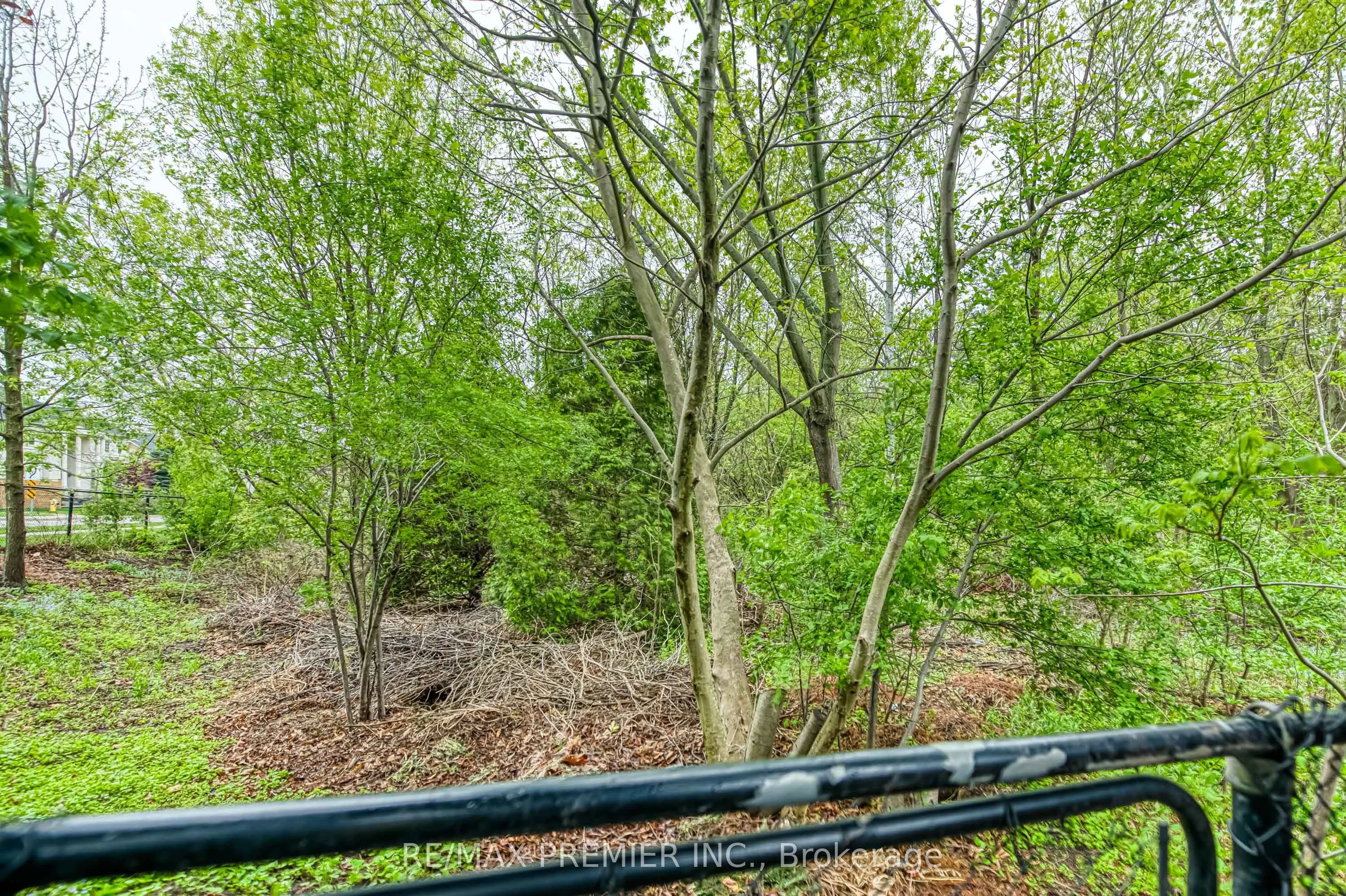 1 Johnswood Crescent, #Bsmt