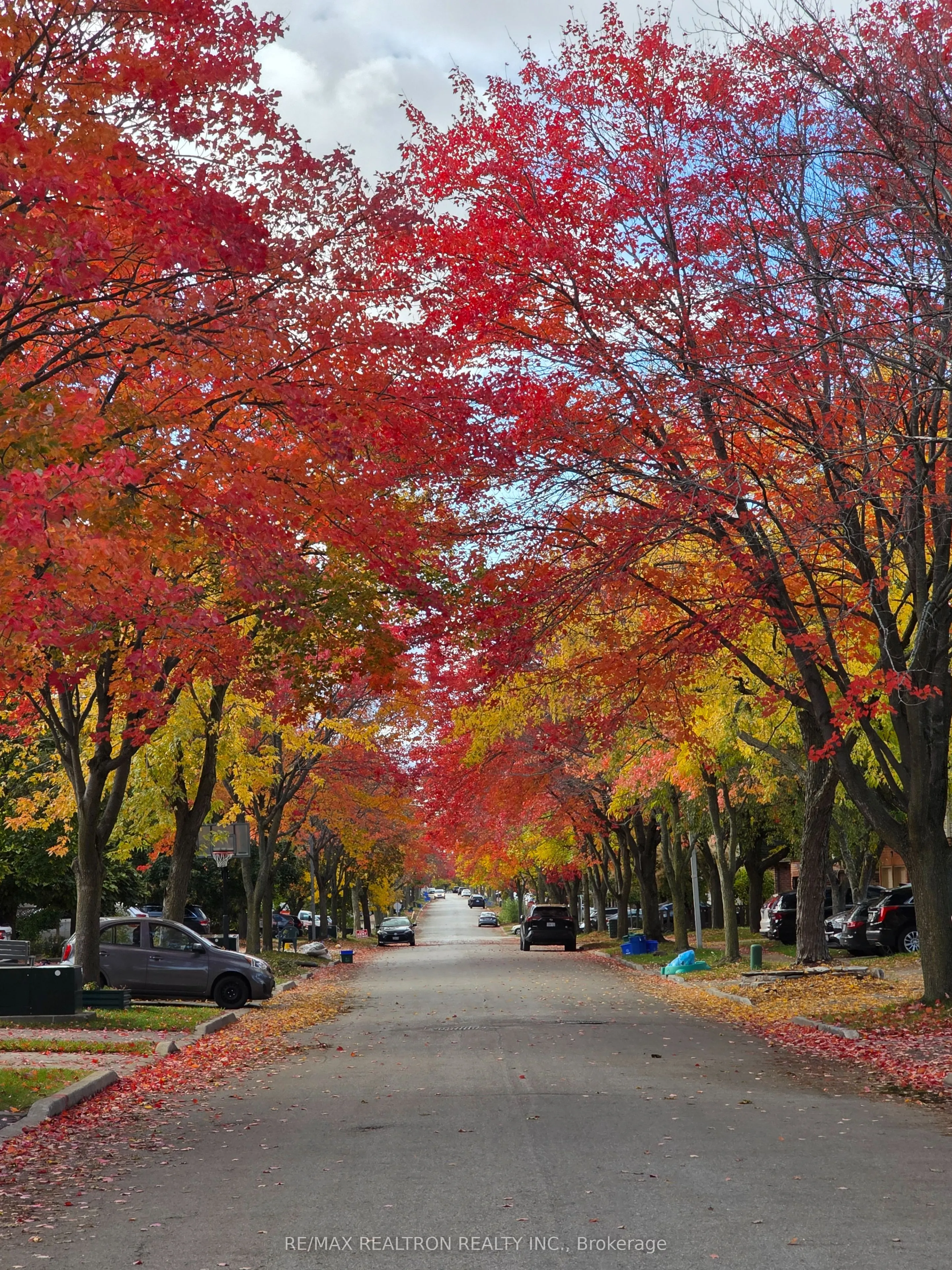 177 North Meadow Crescent