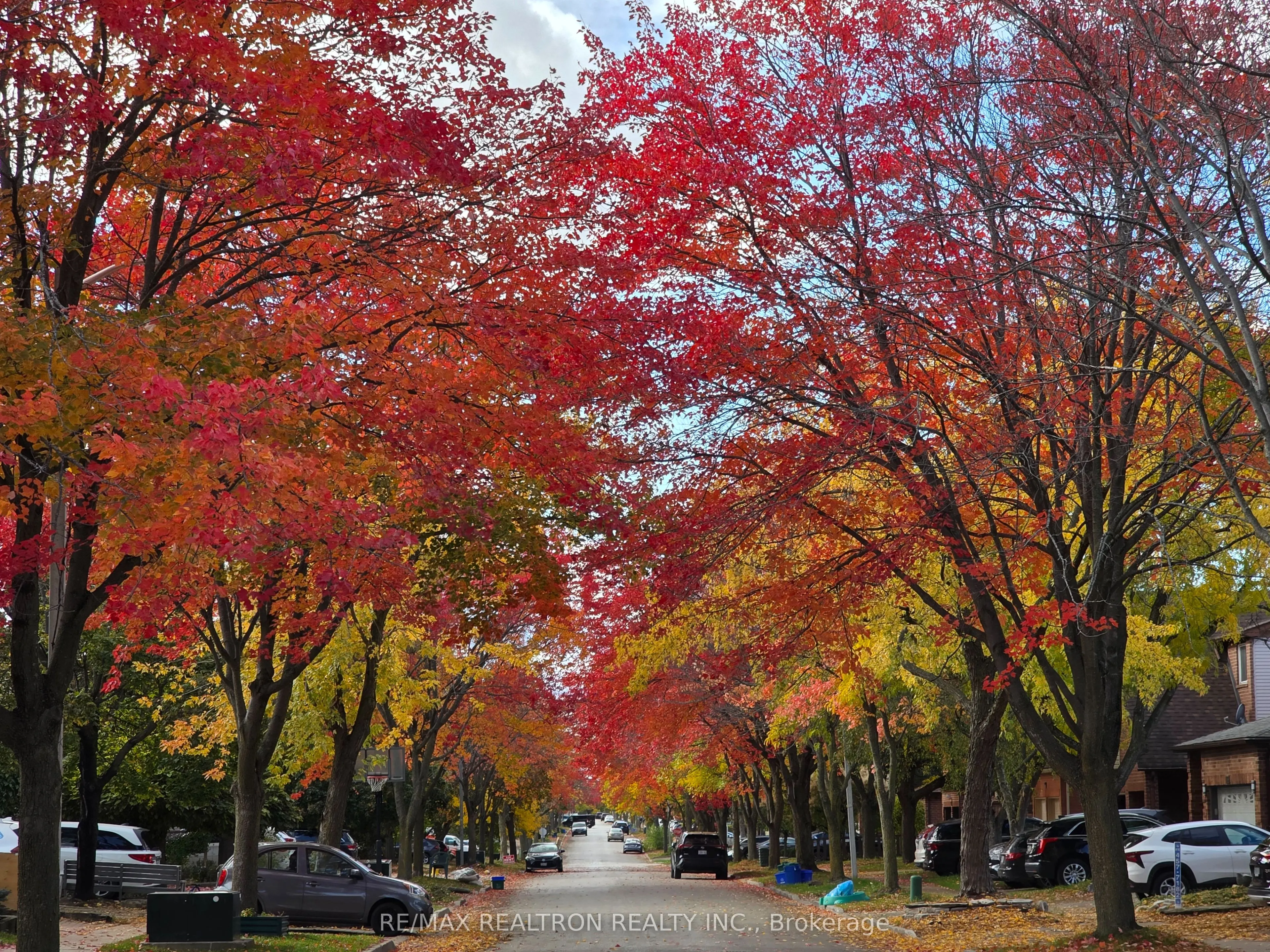 177 North Meadow Crescent