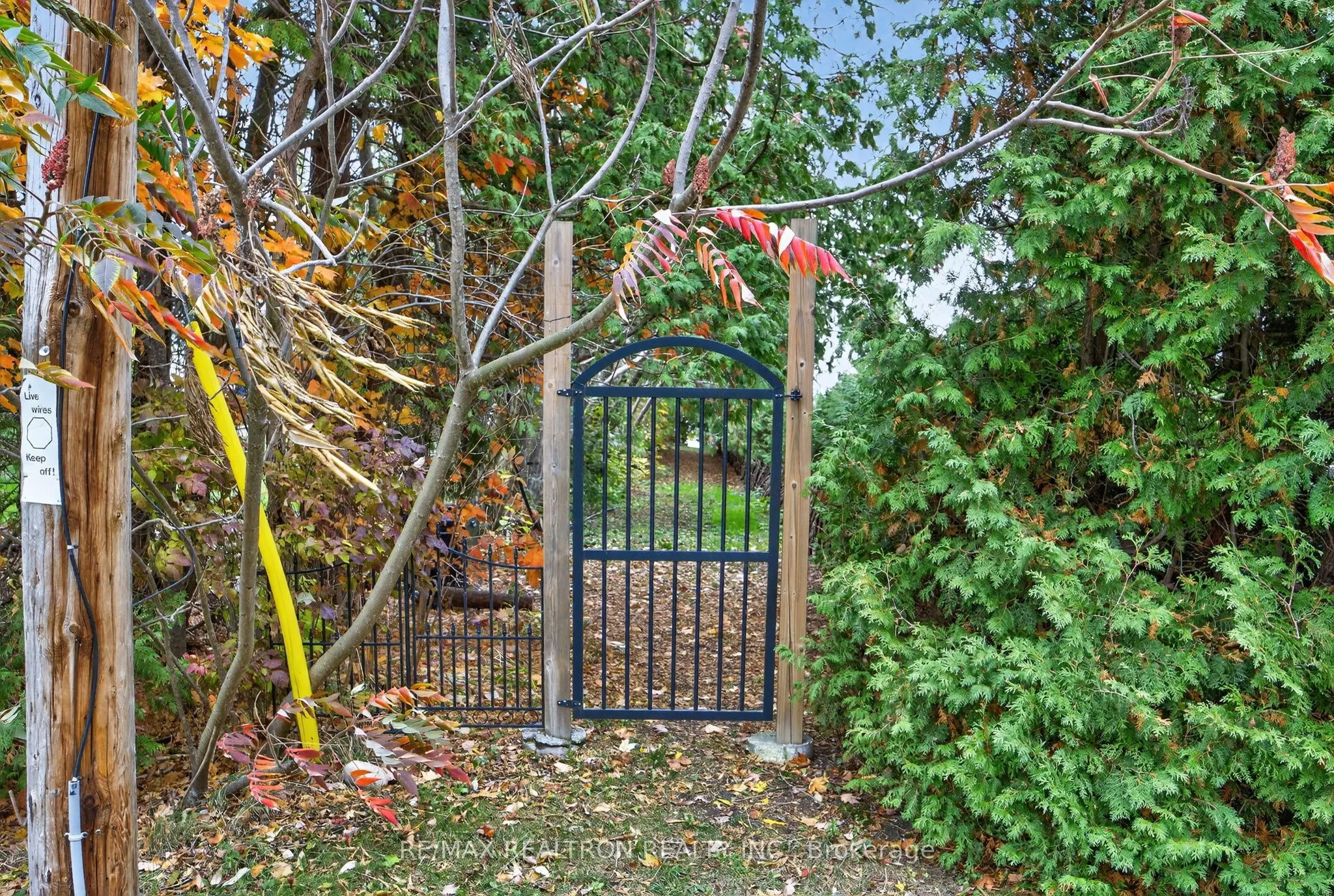 3656 Maple Grove Road