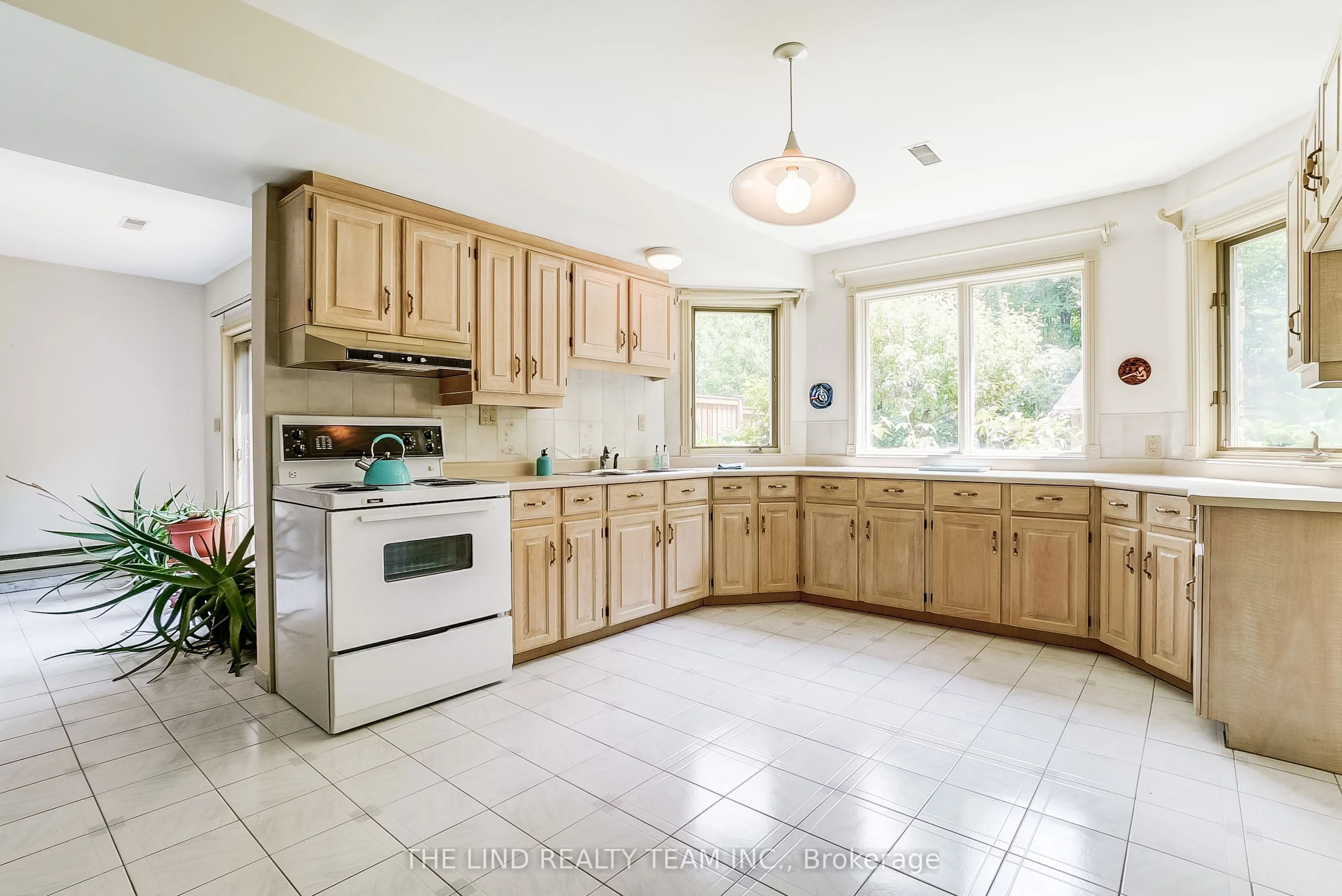 99 Birch Avenue