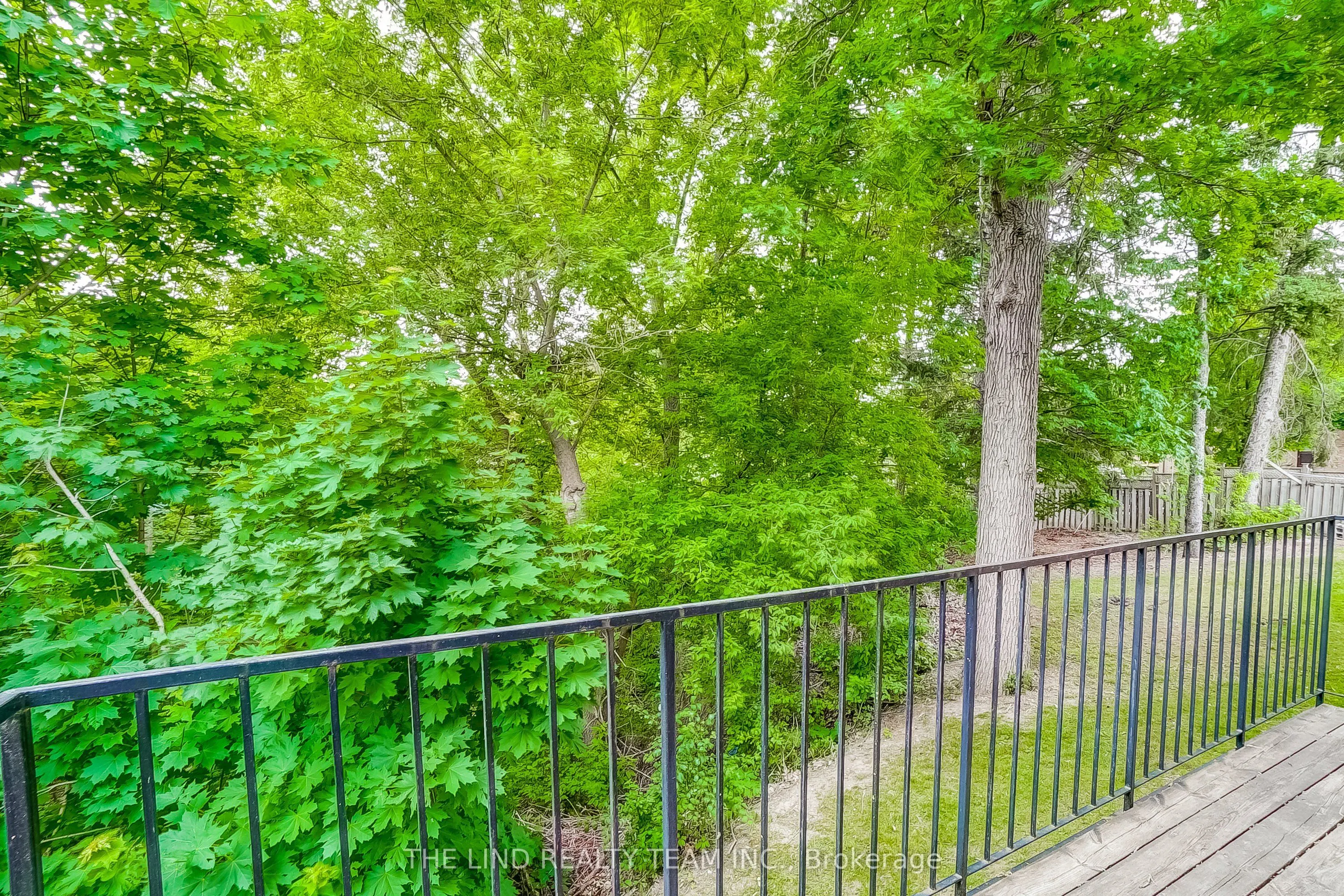99 Birch Avenue