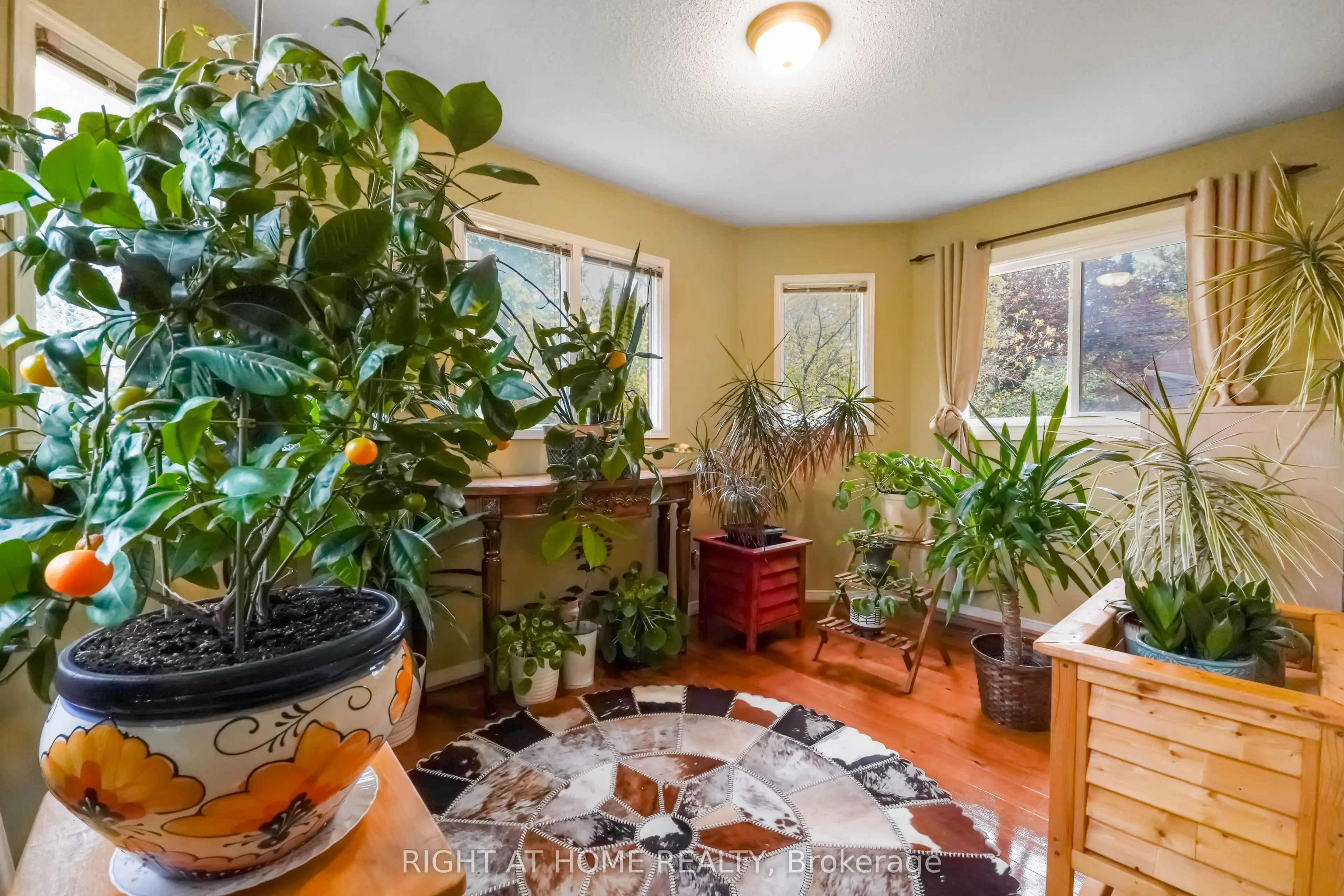 97 Brillinger Street