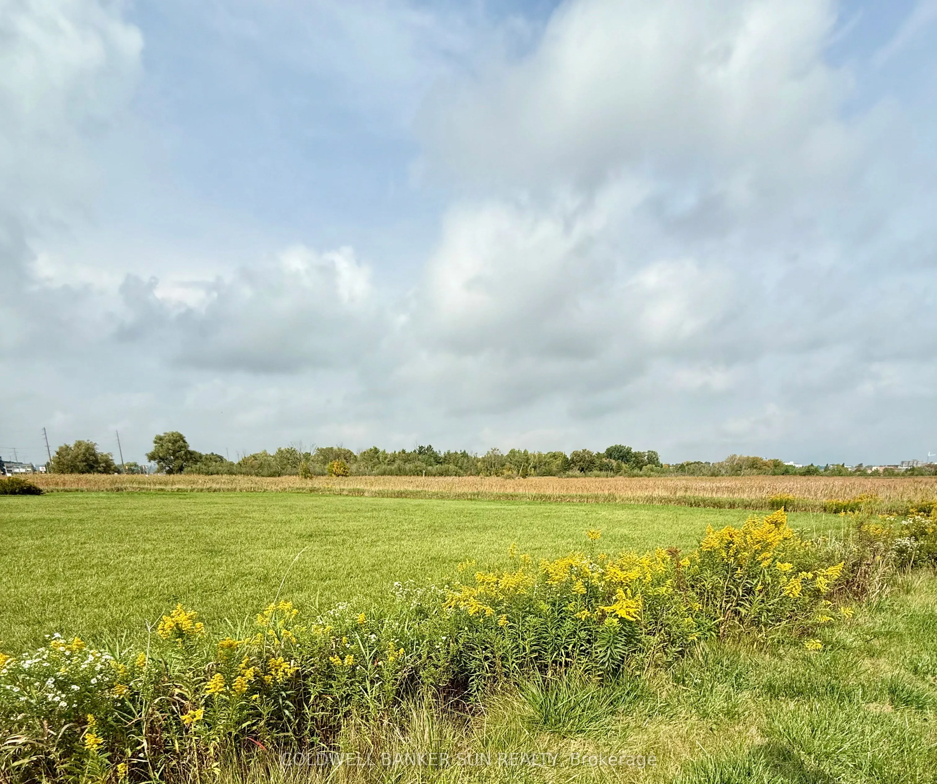 12125 & 12131 Highway 48