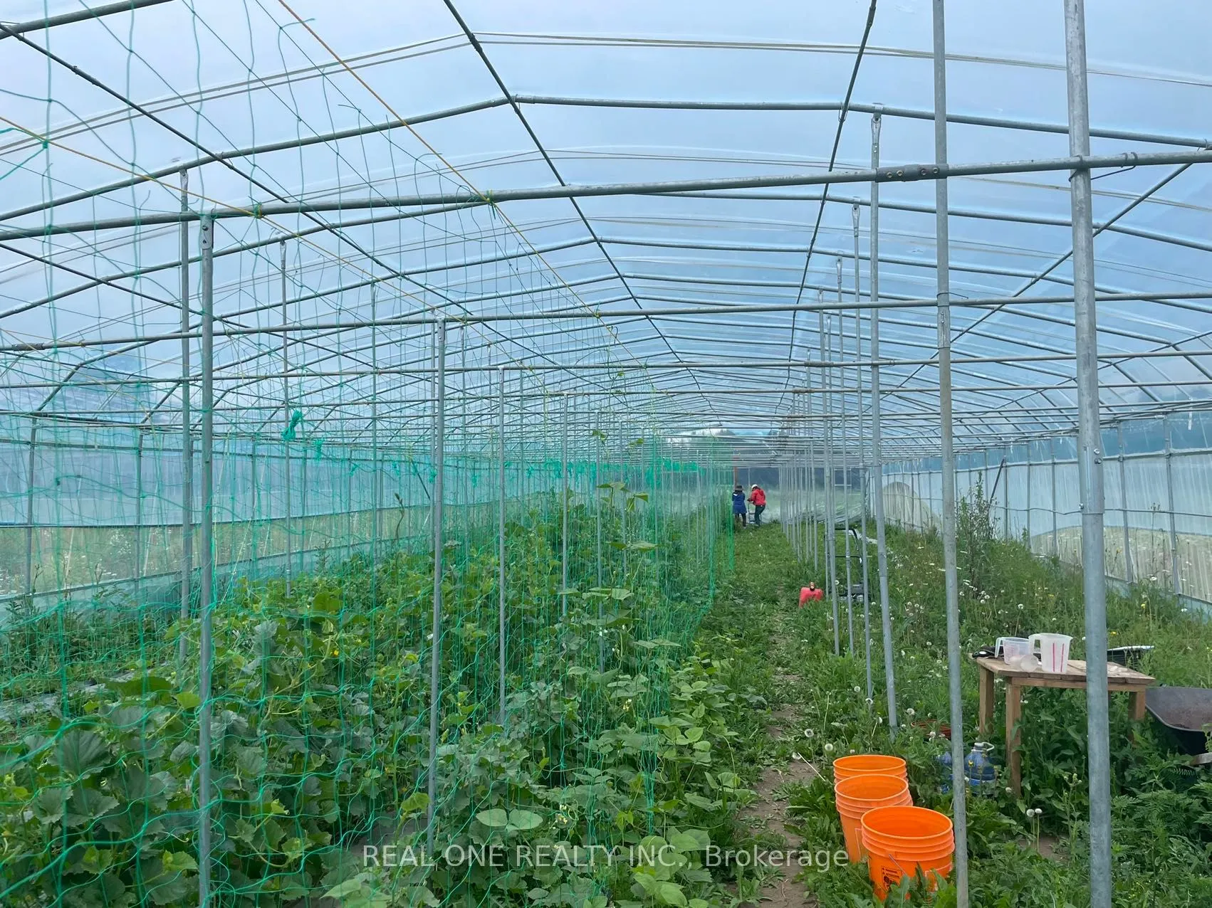 2065B Thorah Concession Rd 4 Road