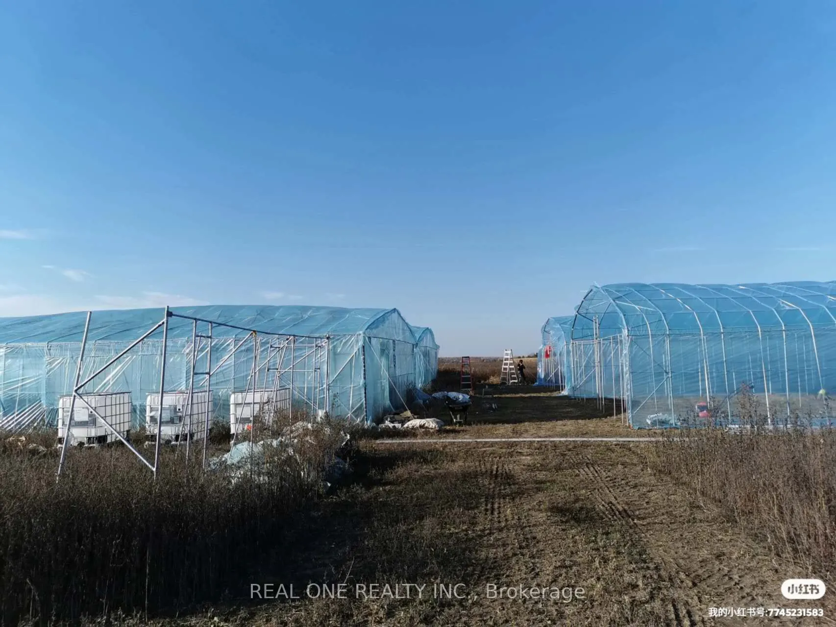 2065B Thorah Concession Rd 4 Road