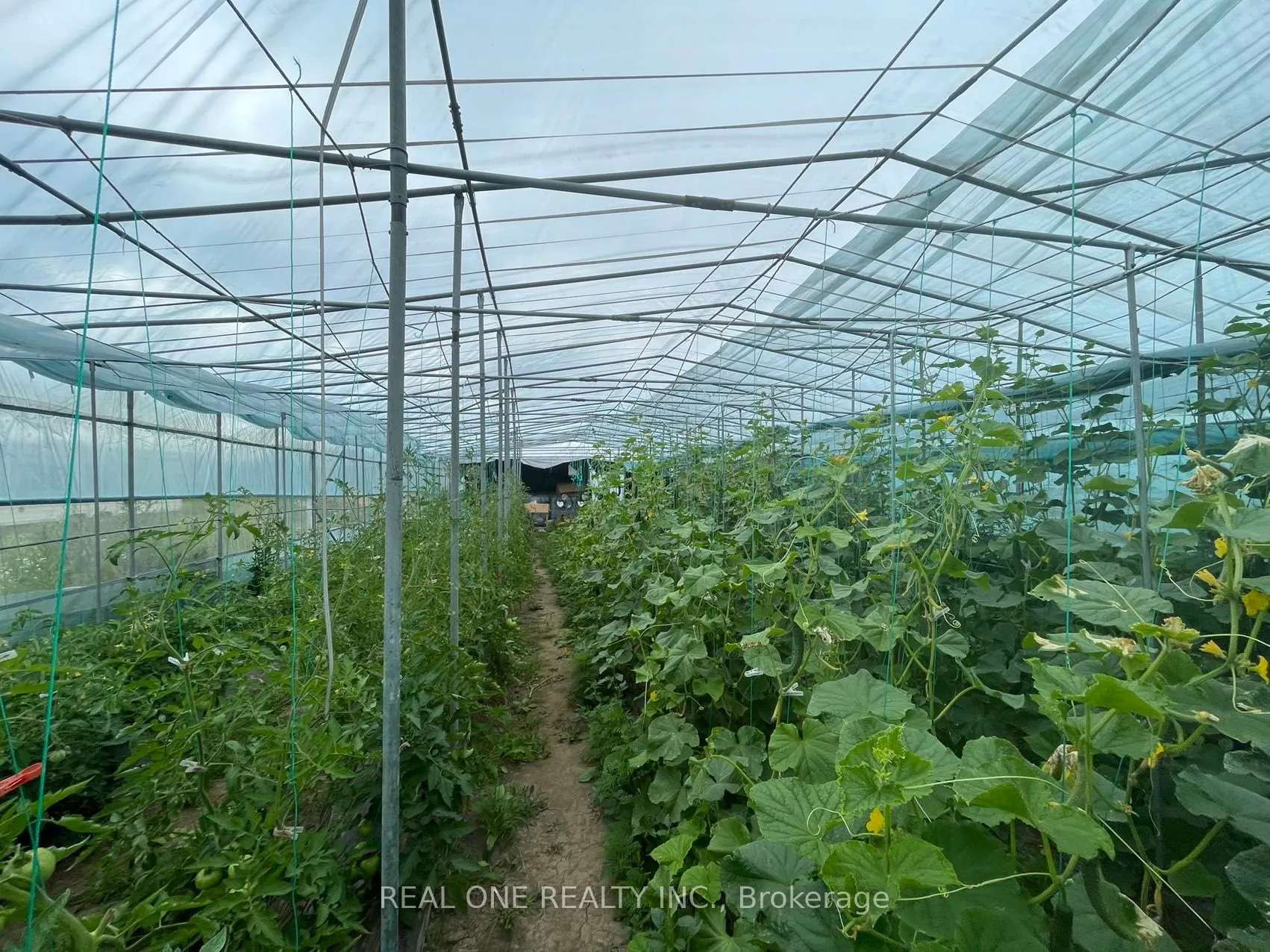 2065B Thorah Concession Rd 4 Road