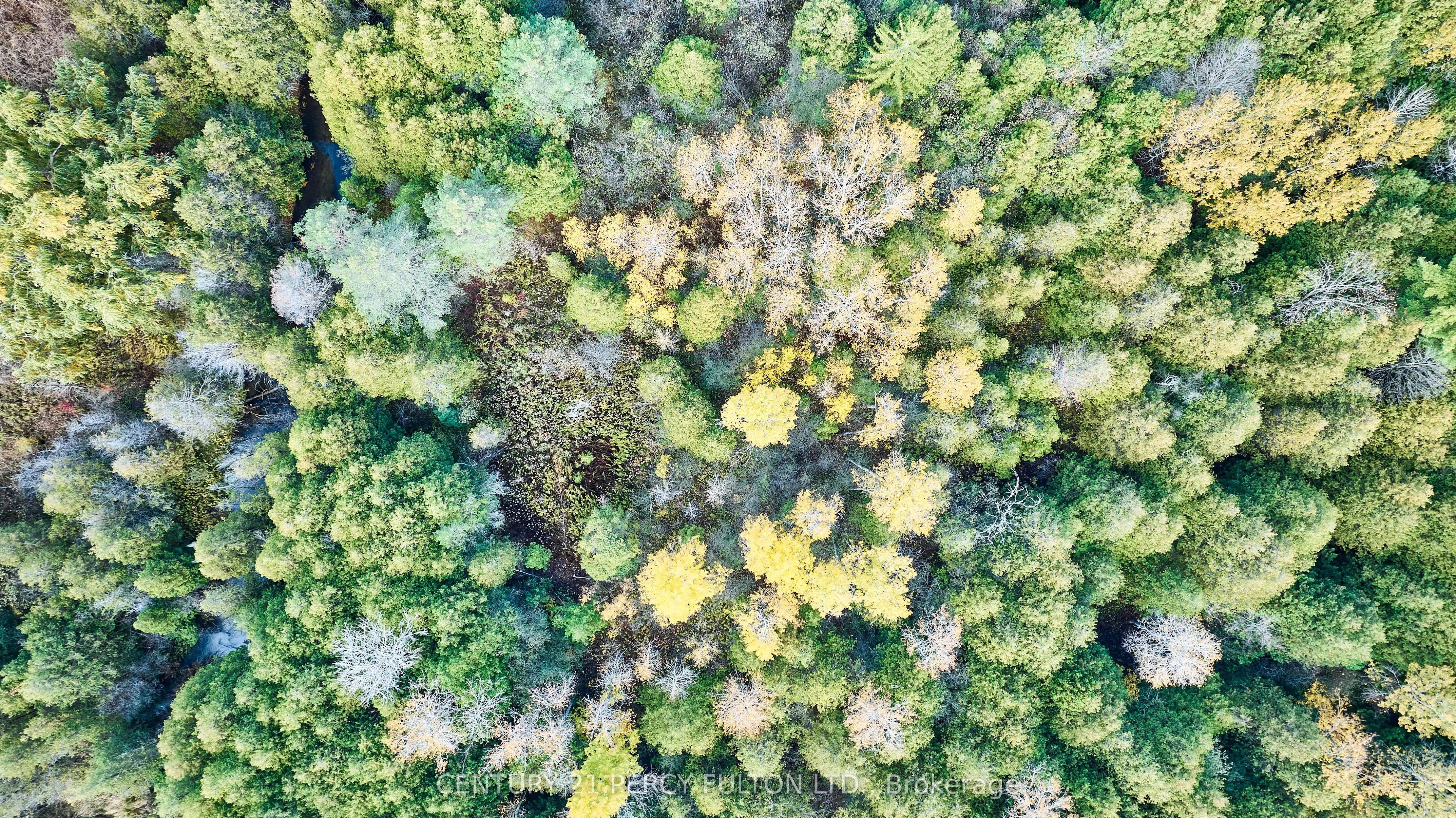 219 Main Street N, #301