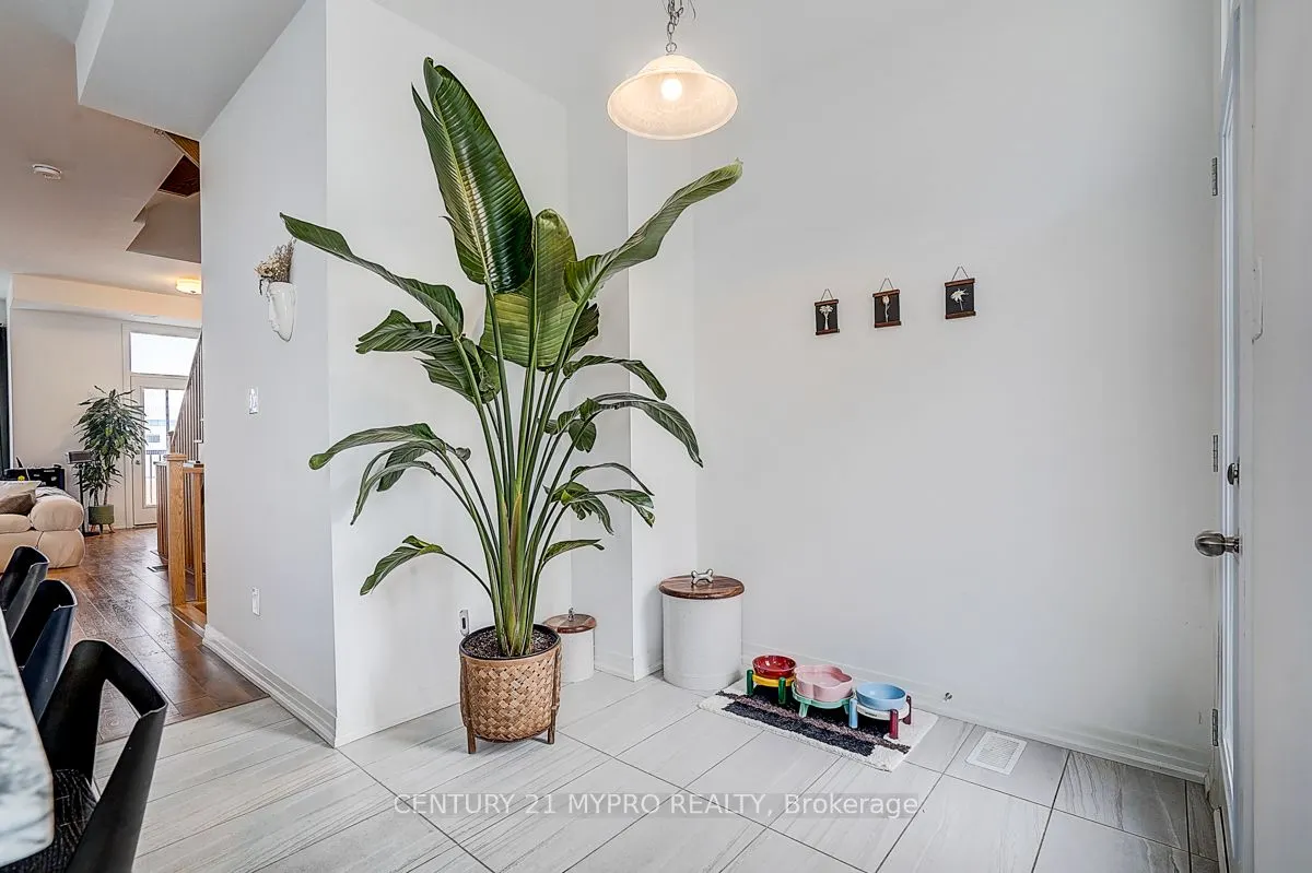 35 Alan Francis Lane