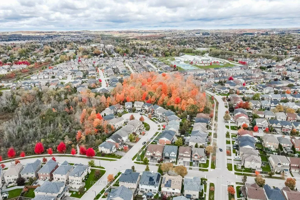 18 Weldon Woods Court