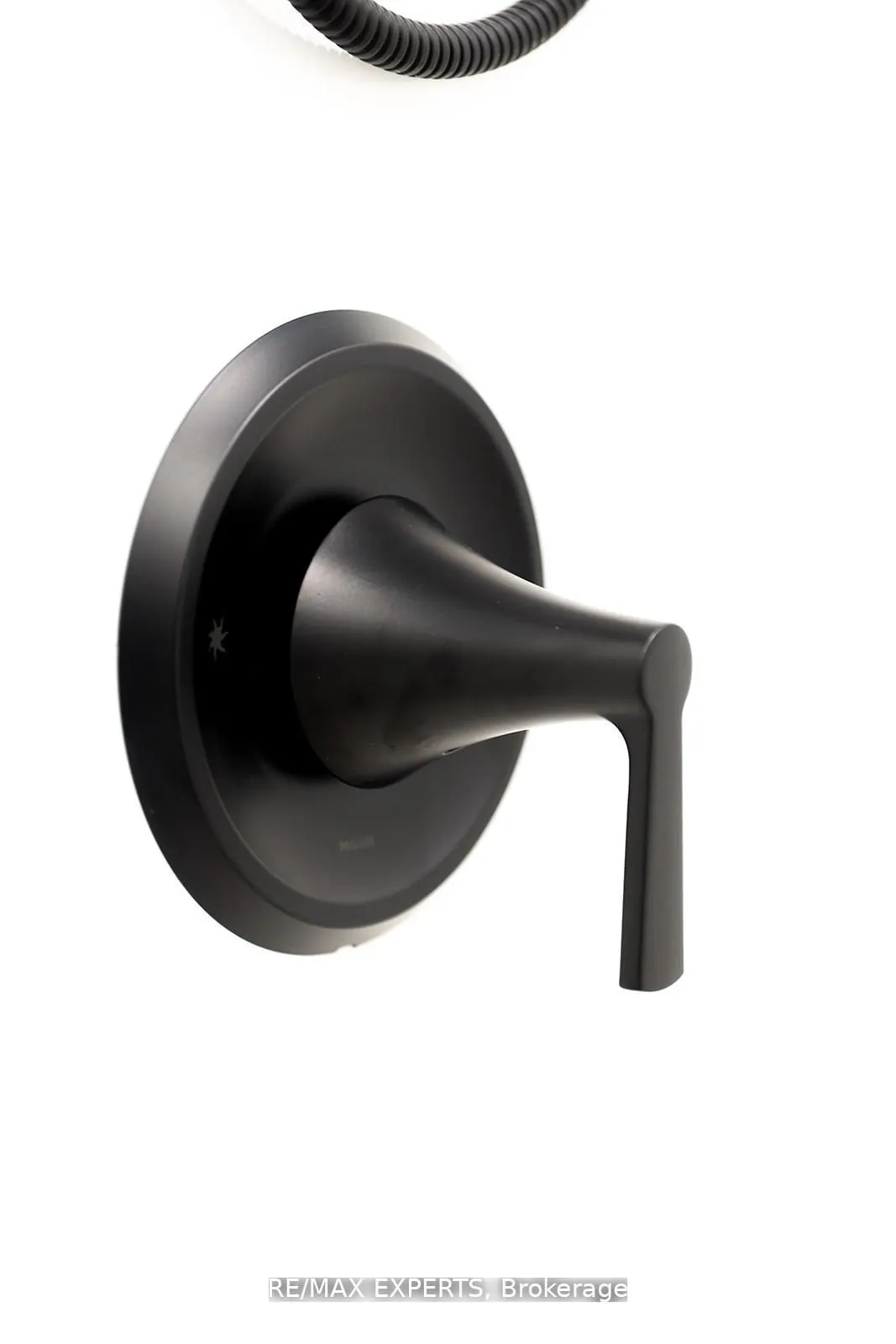 1343 Harrington Street, #Lower