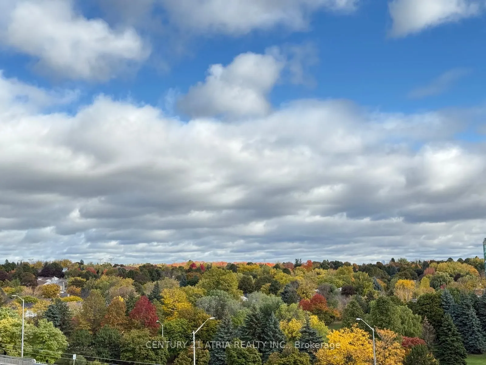 399 Royal Orchard Boulevard, #715