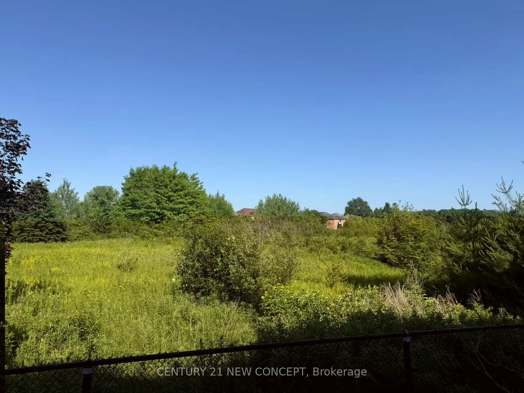 75 Alpaca Drive, #Lower