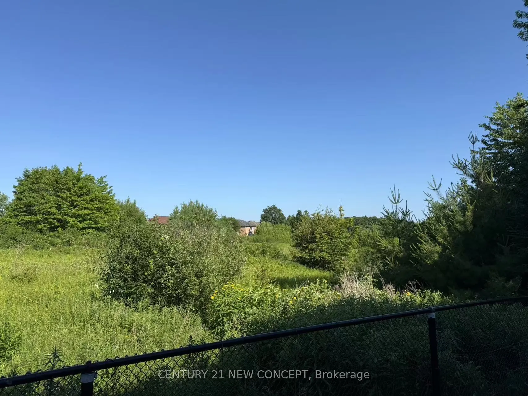 75 Alpaca Drive, #Lower