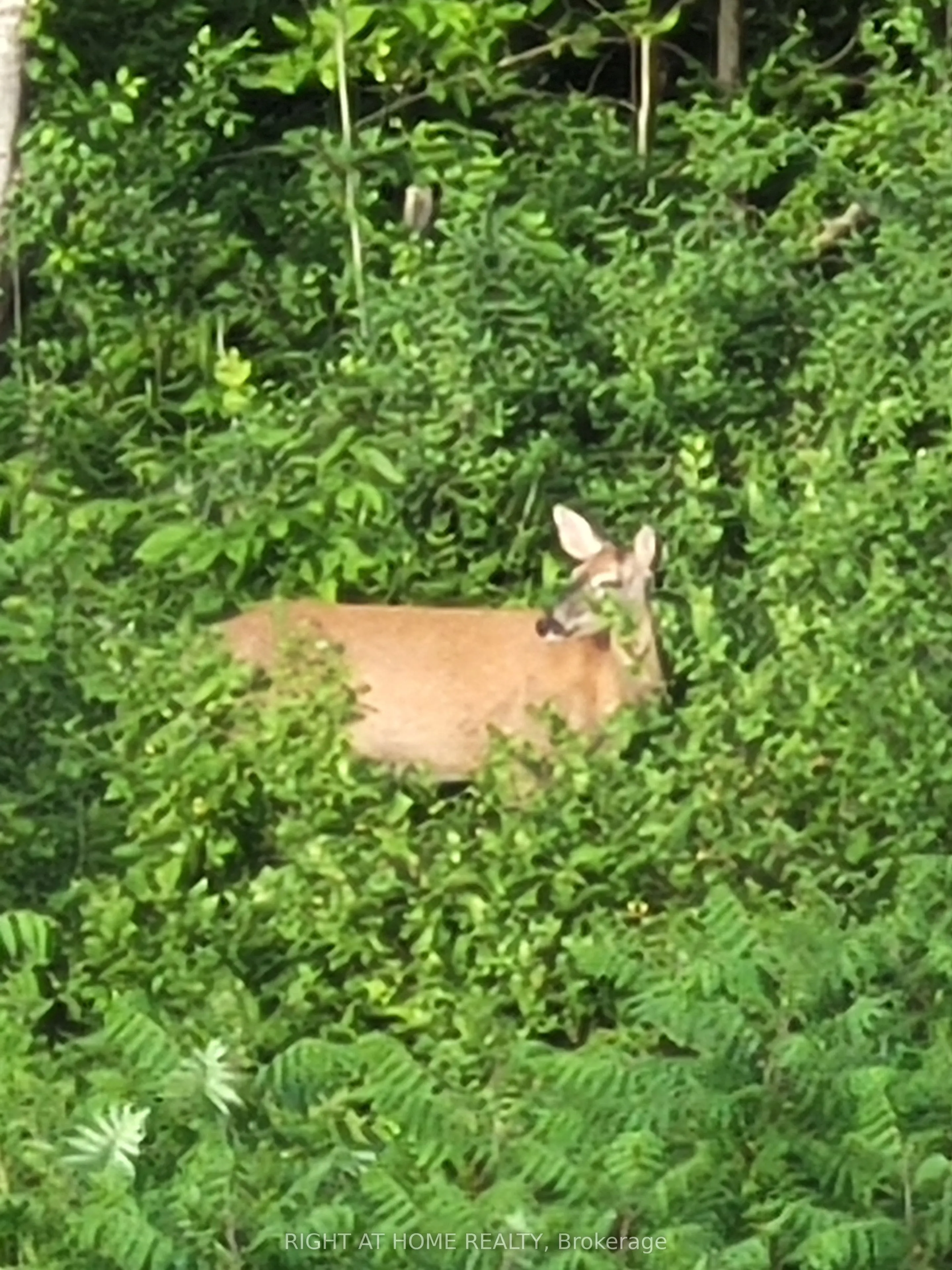 216 Sunset Vista Court E