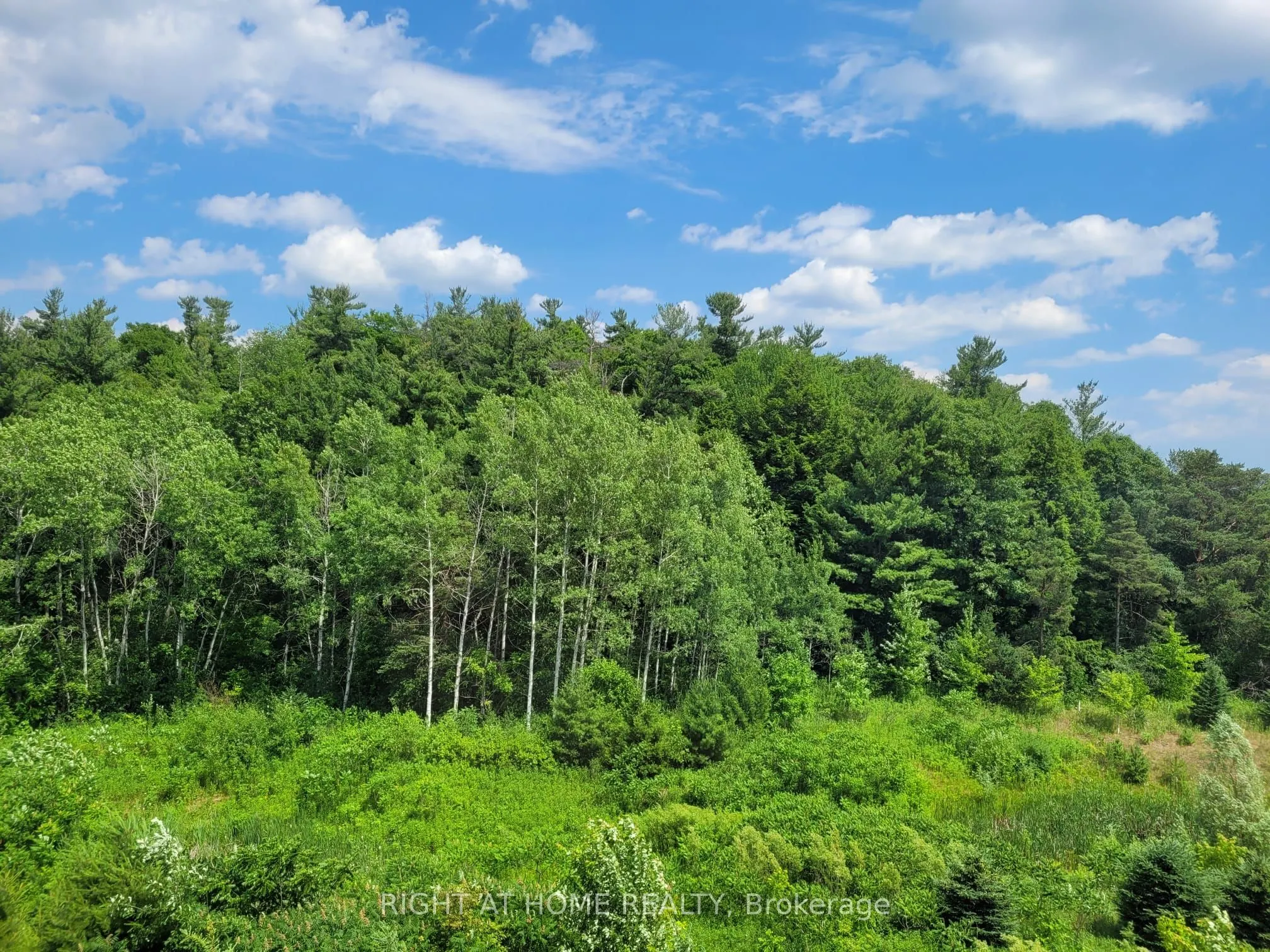 216 Sunset Vista Court E