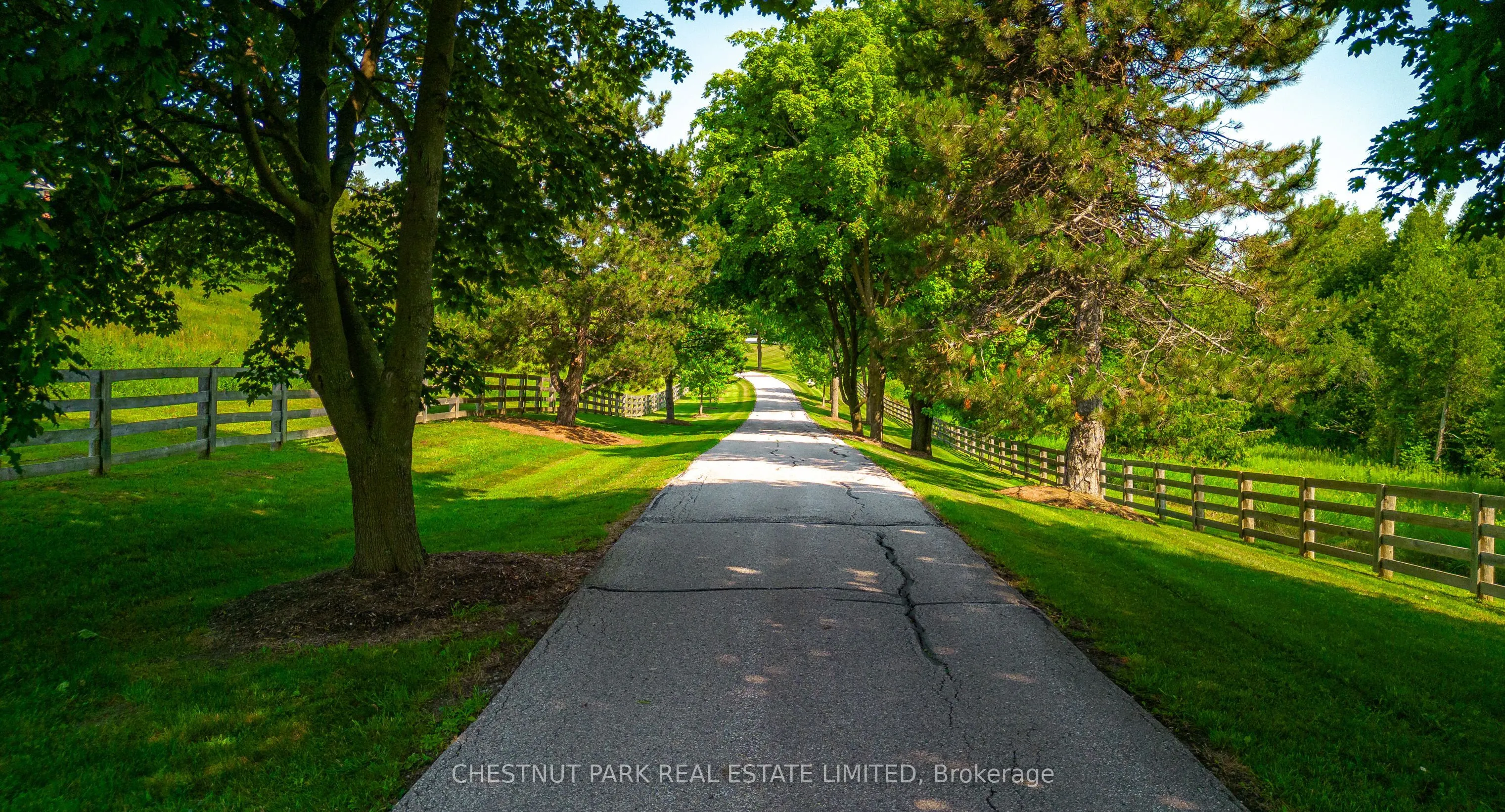 908 Vandorf Side Road