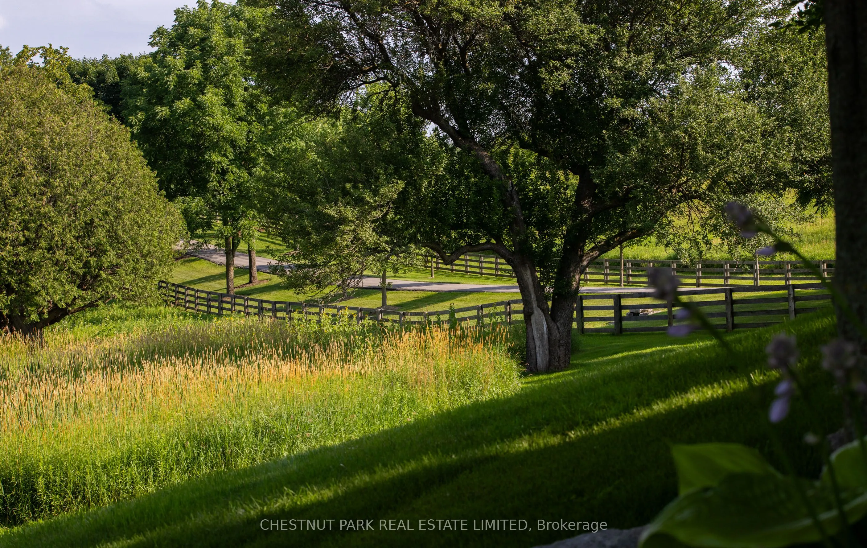 908 Vandorf Side Road