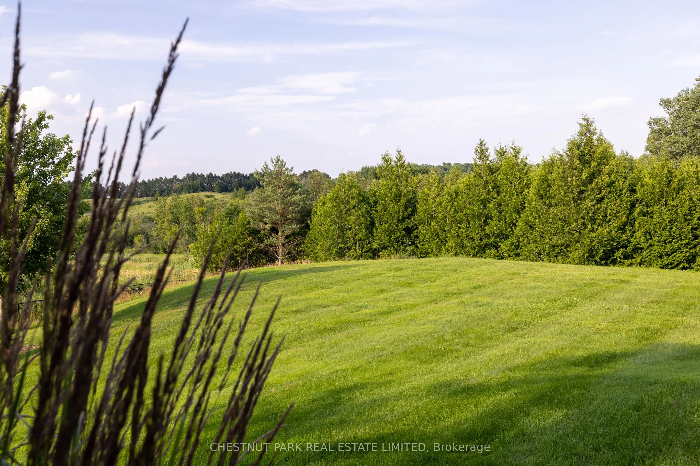 908 Vandorf Side Road