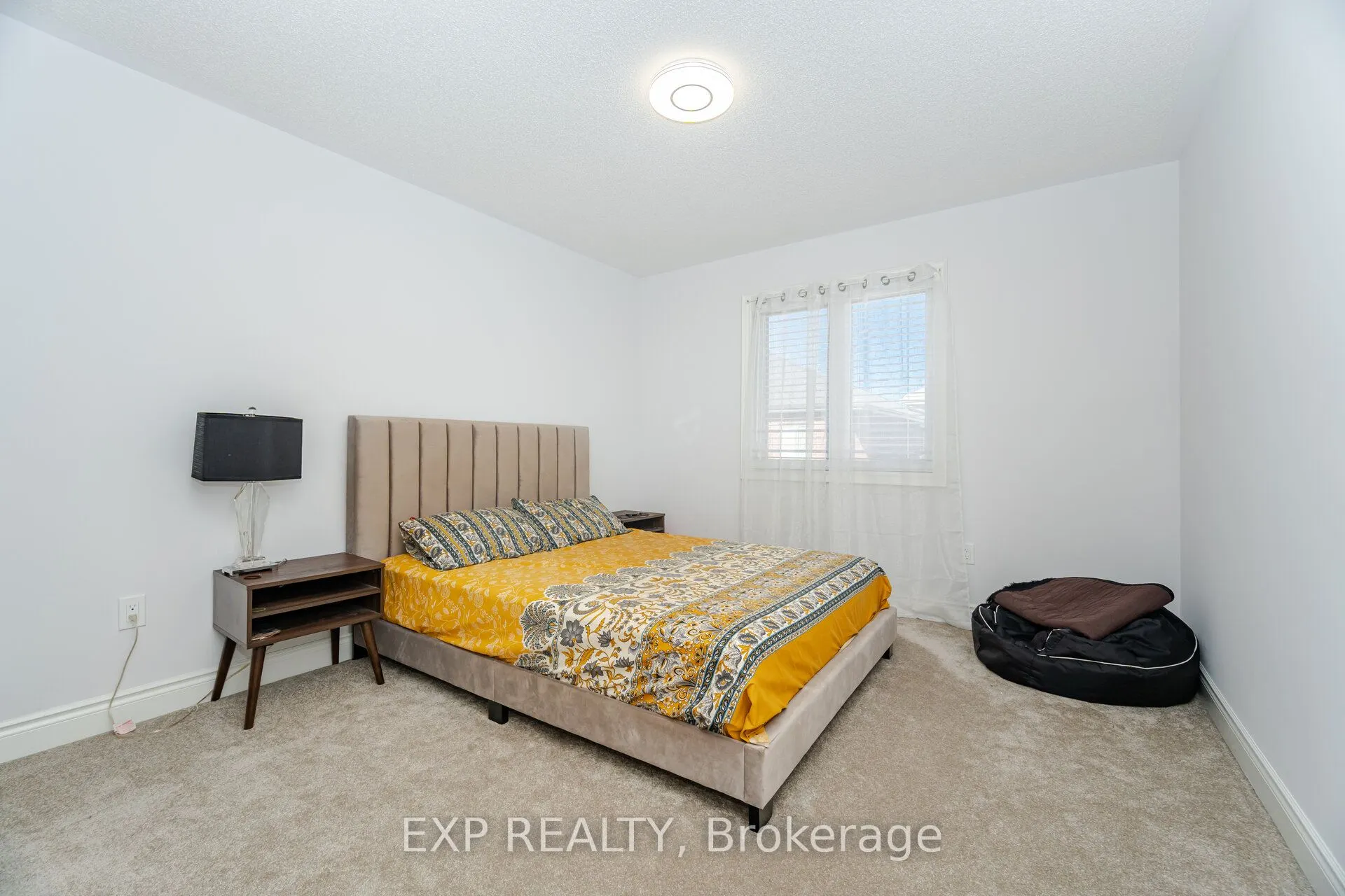 13 Alan Williams Trail