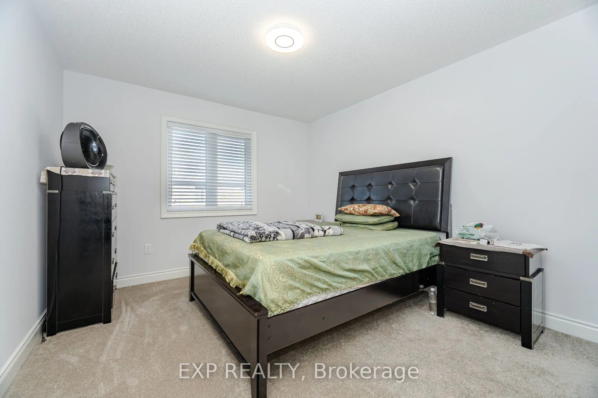 13 Alan Williams Trail