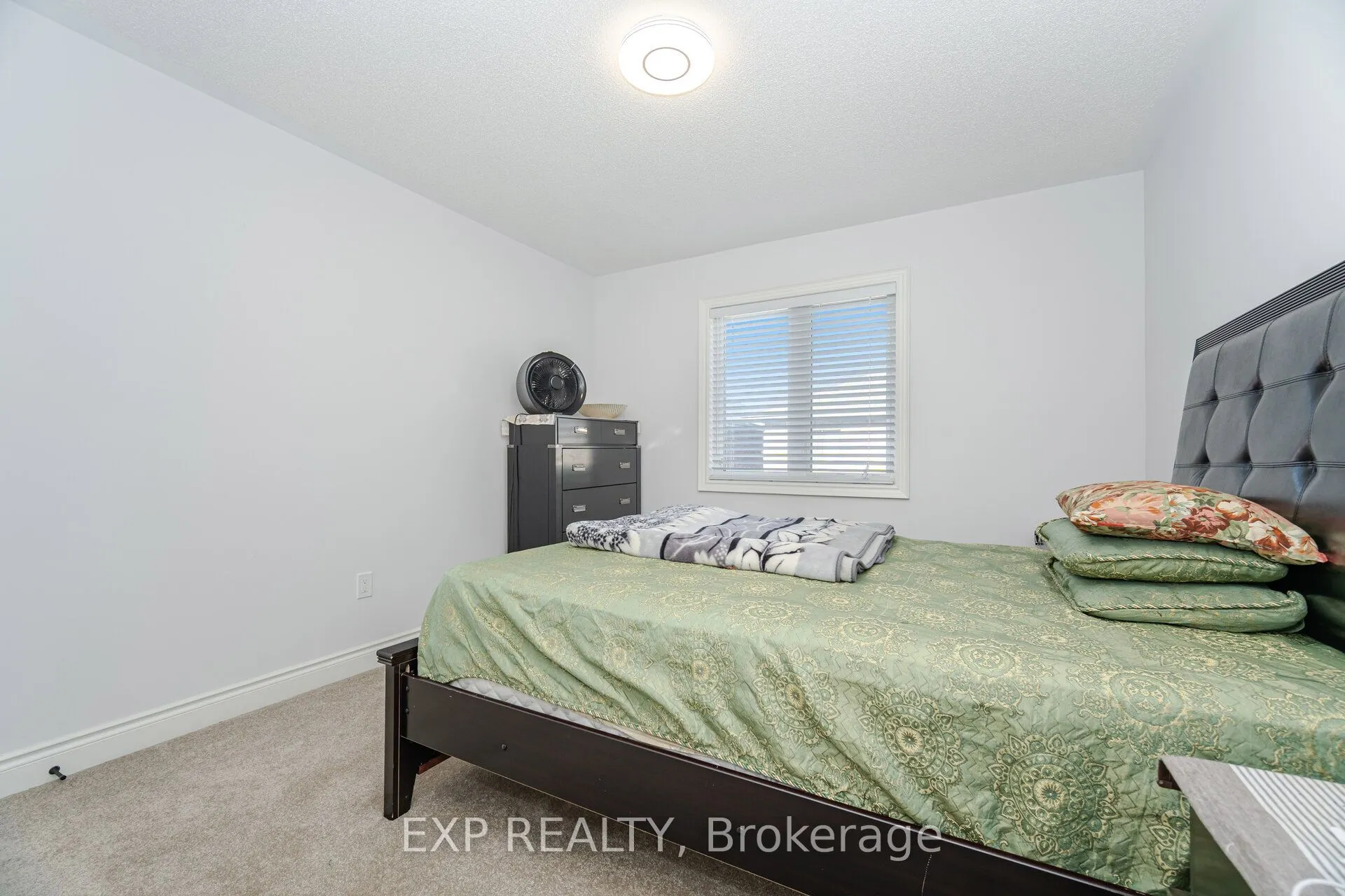 13 Alan Williams Trail