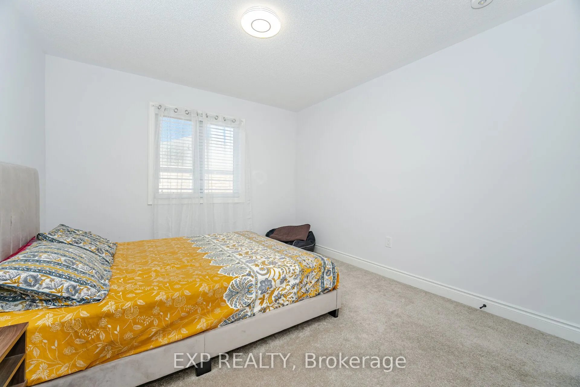 13 Alan Williams Trail