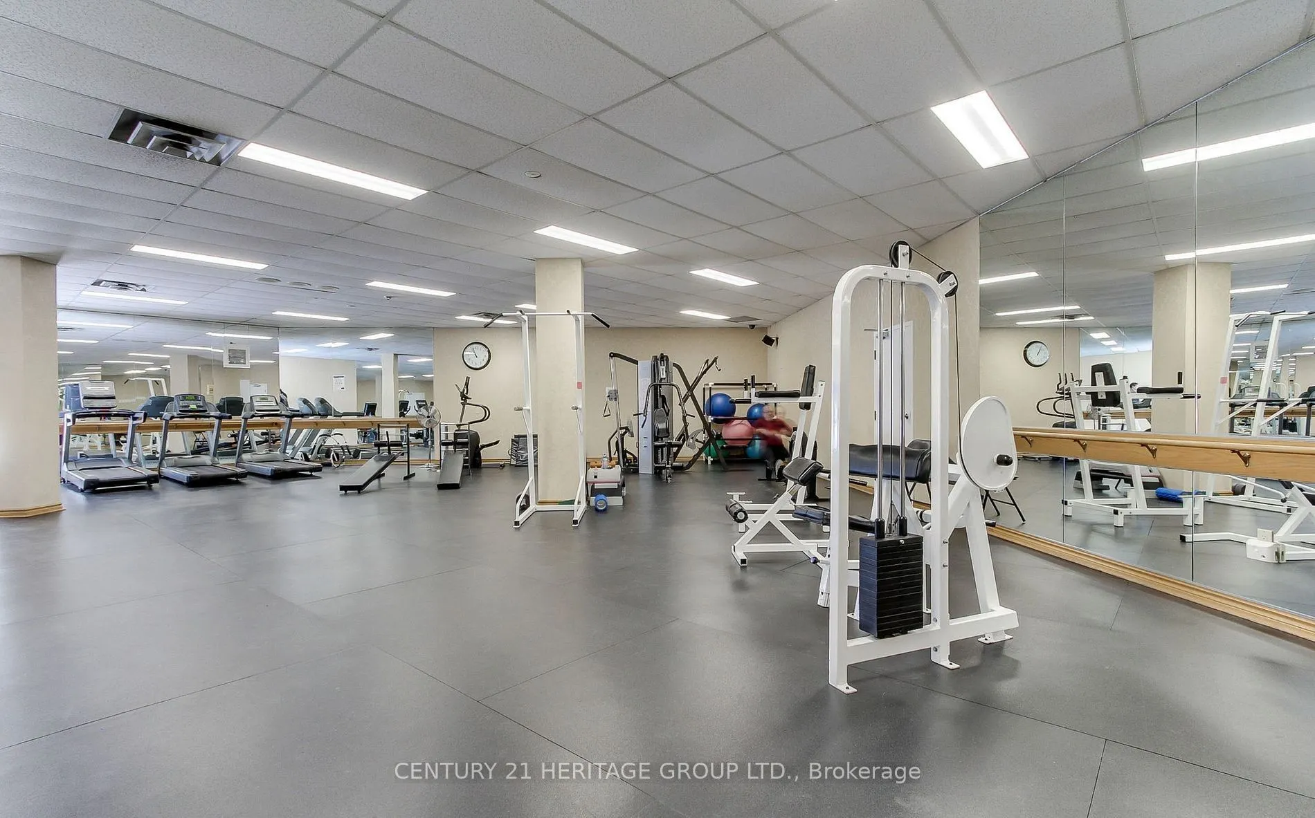 40 Harding Blvd Boulevard W, #203