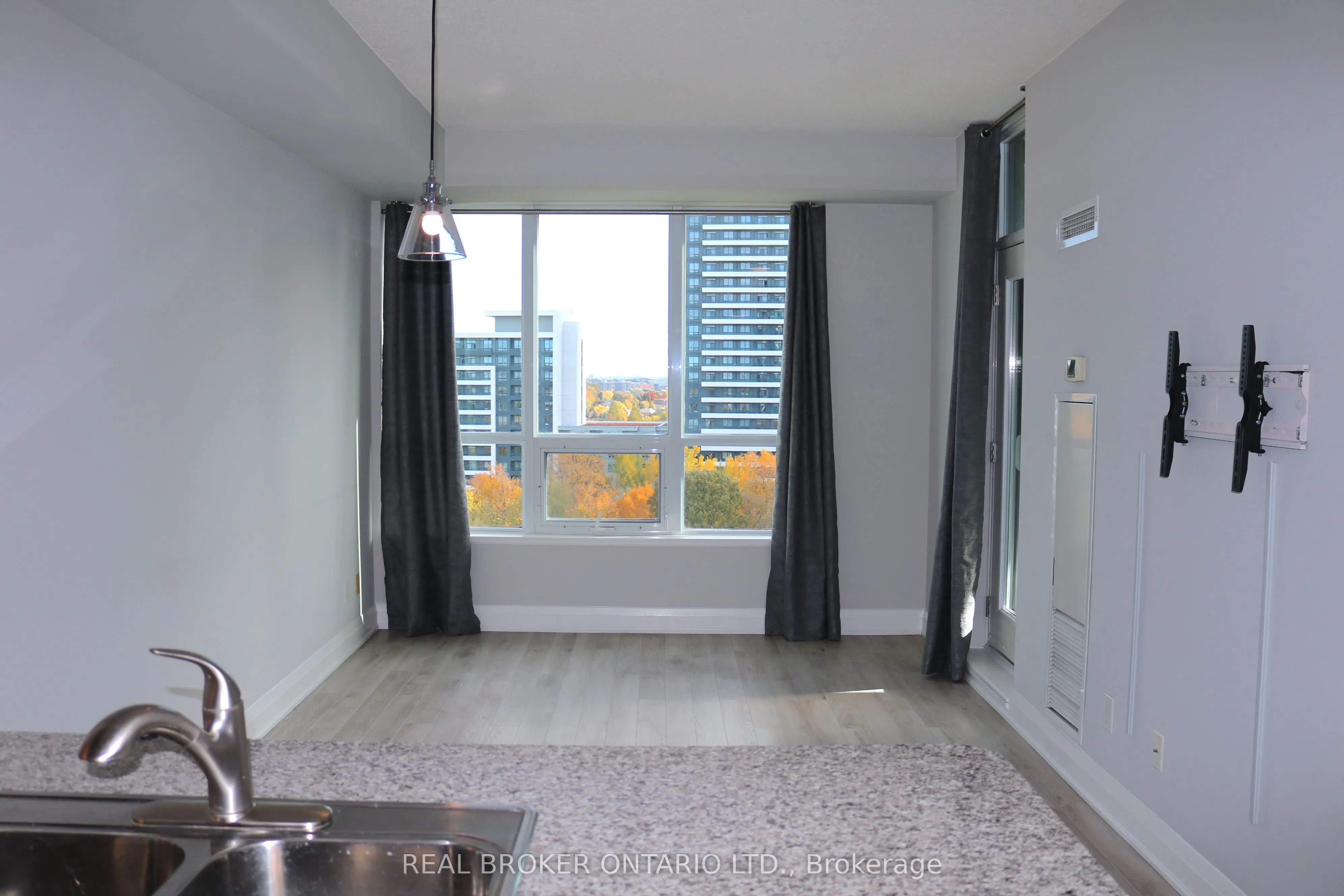 20 North Park Road, #1103